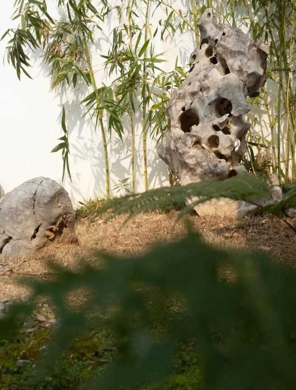 用一颗"空心"笑看人间烟云,繁花落尽.竹盆景雅赏