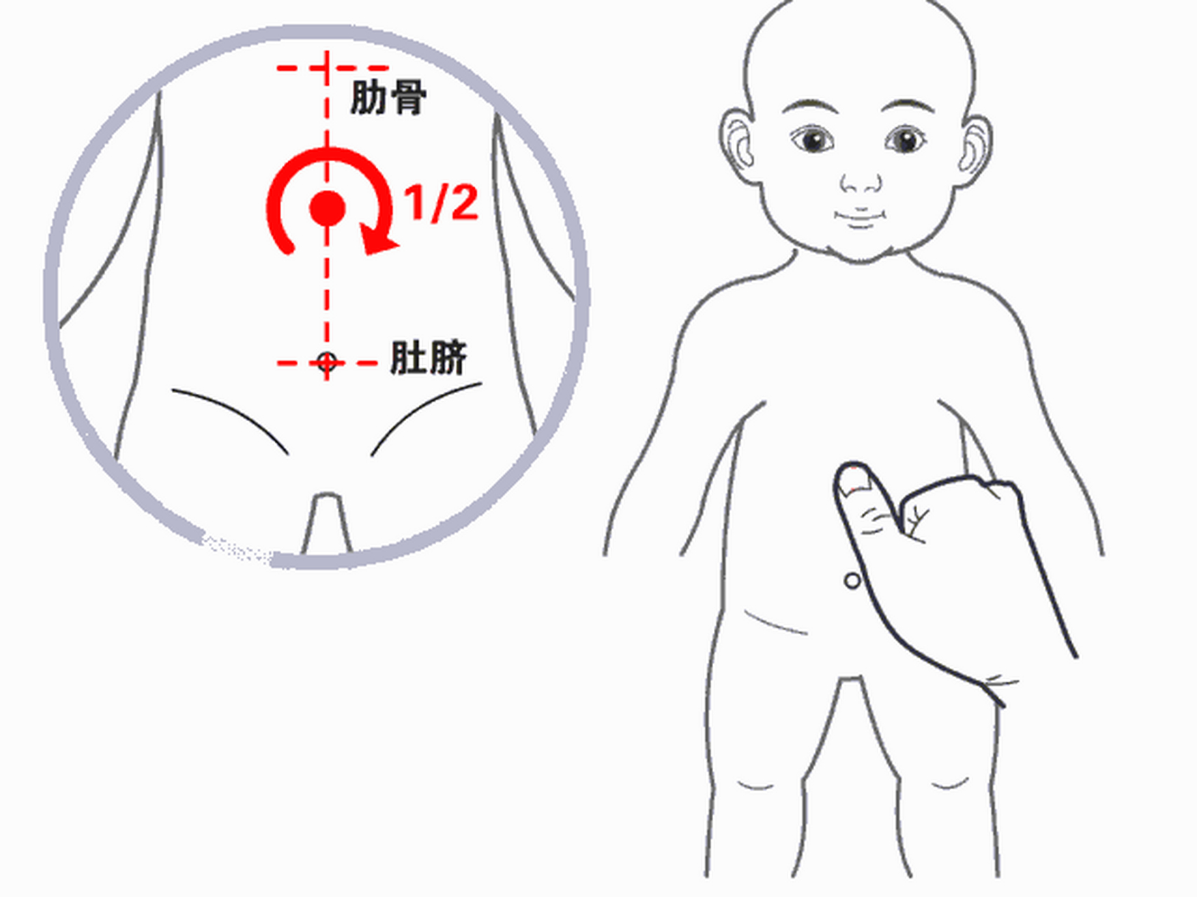 肚脐眼上的简笔画图片