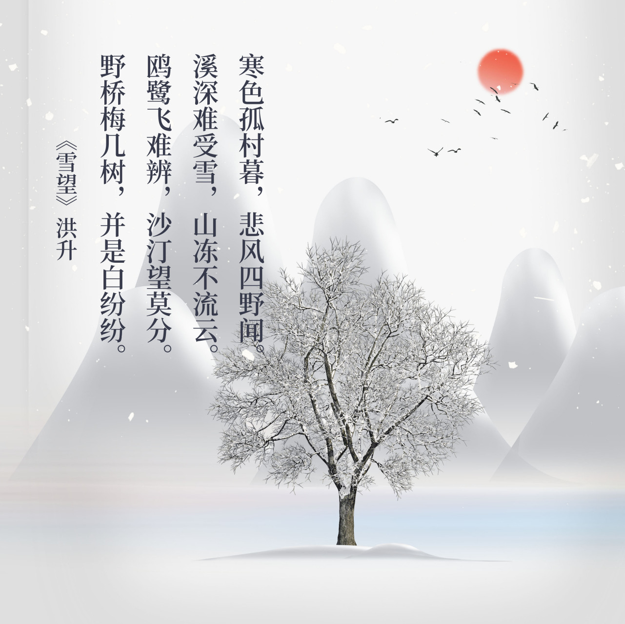 很喜欢洪升写的《雪望》,最喜欢尾联的一句:"野桥梅几树,并是白纷纷.