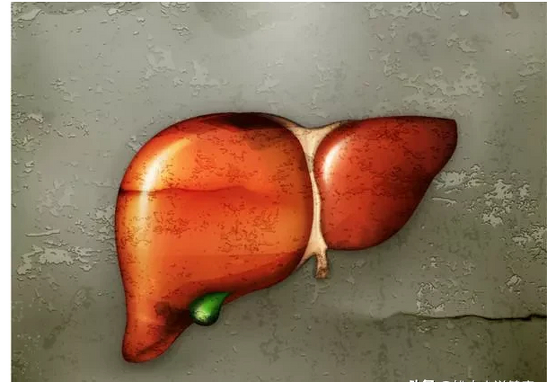 肝科主任透露:养肝学会6招,肝脏更强壮!