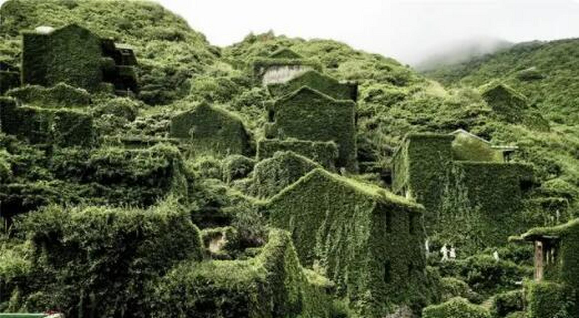 浙江舟山一个荒废的"无人村",因为景色太美了,引起了英国《每日邮报》