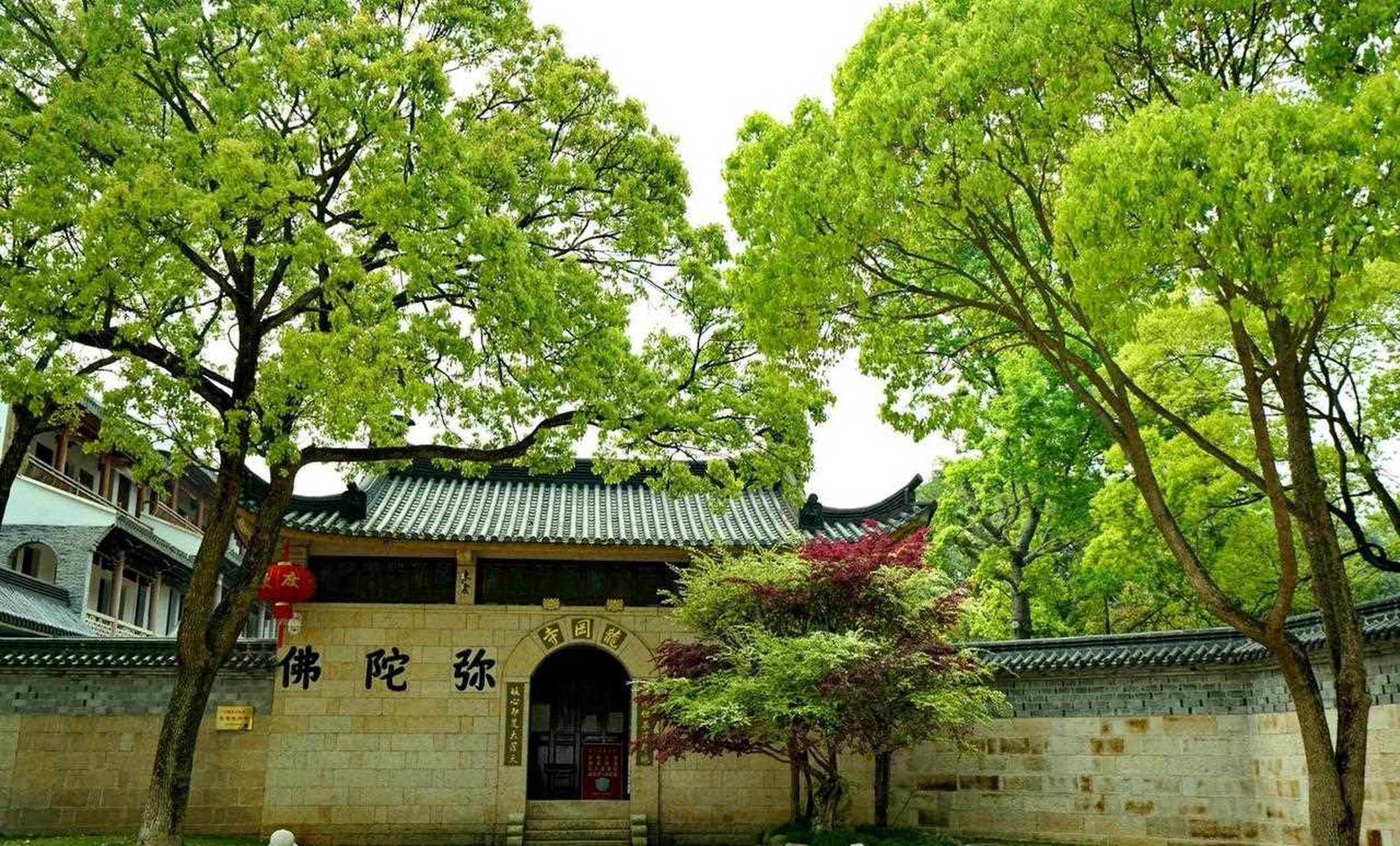 每次去龙冈寺,都会为这片石头城的圣地由衷震撼,从心灵到身体,那一条