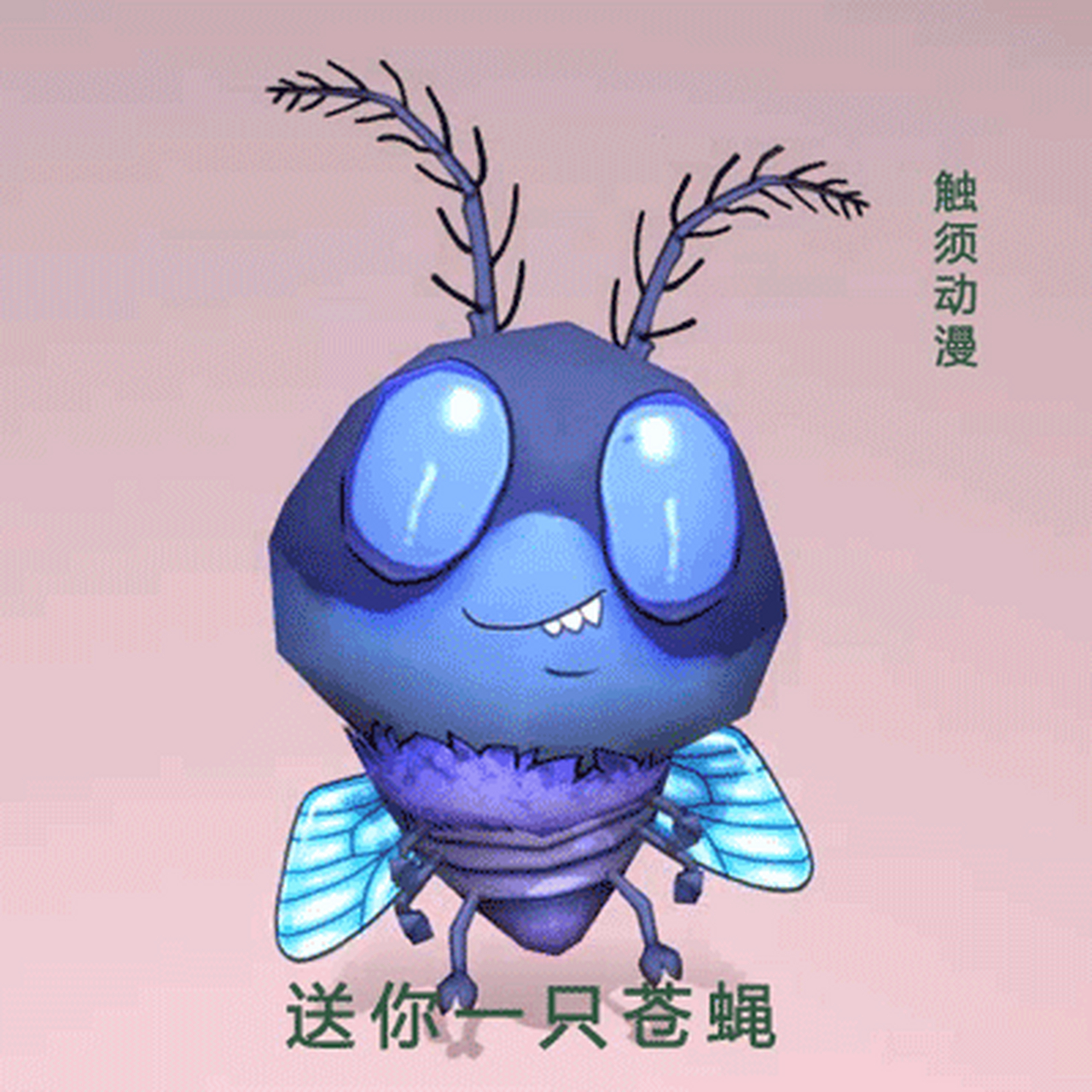 触须大叔的原创gif小动画——夏天了,关于"苍蝇"的动态表情.