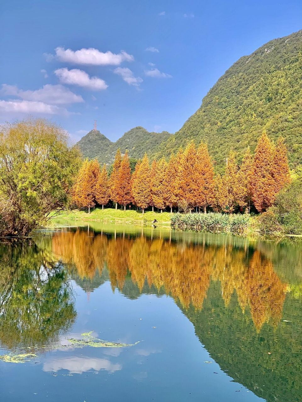 贵阳花溪十里河滩  贵阳的公园是一处绝佳的摄影胜地,沿着湖边漫步