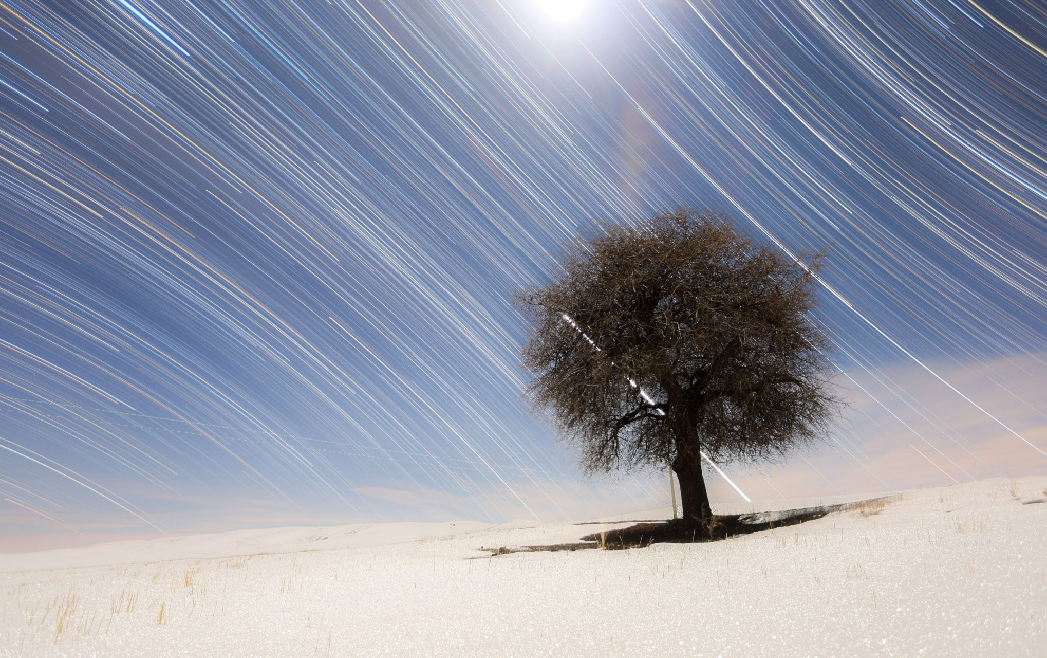 南半球天空和北半球天空的星轨图