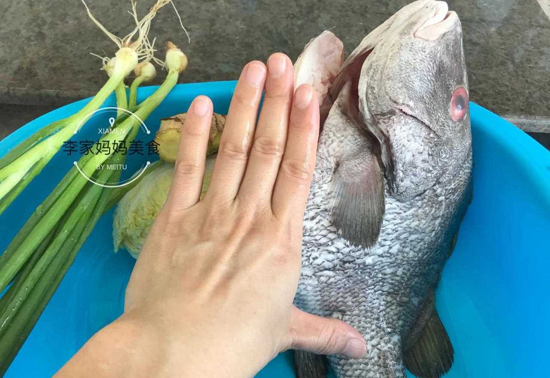 [哼 在菜市场碰到一种极罕见的鱼,体型长得挺奇怪的,长这么大第一次