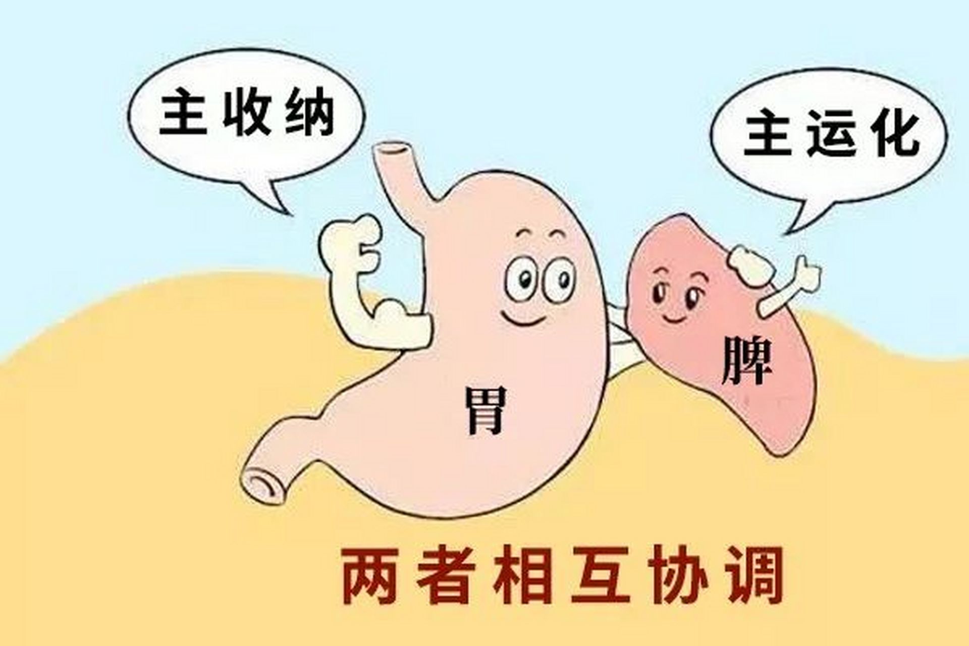 中医养生常说"脾虚百病生",脾胃不好的人,从外表上就能看出来  中医