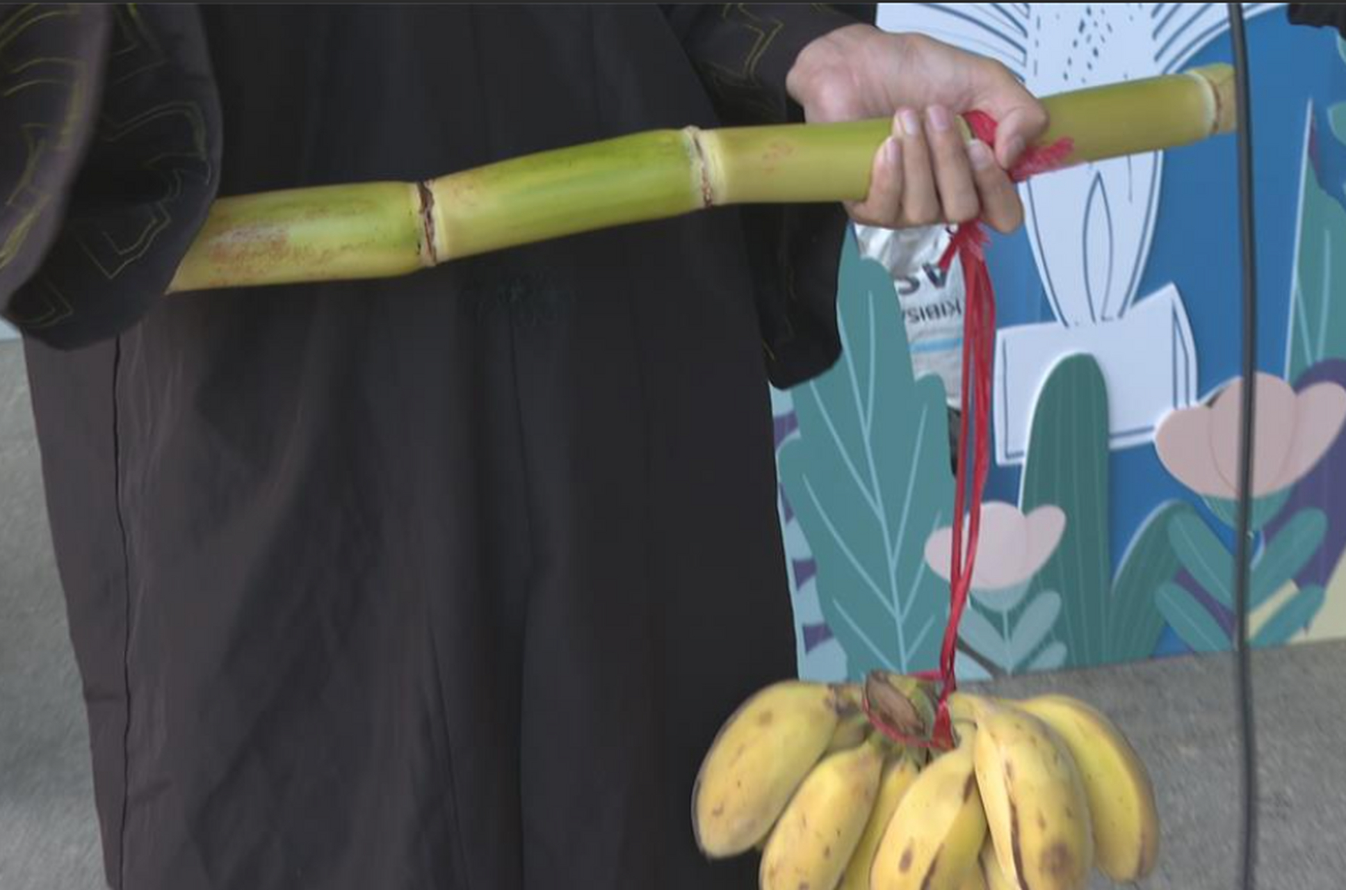 广东高考独特助威方式:着旗袍,楂金蕉掂过碌蔗,到底是咩意思!