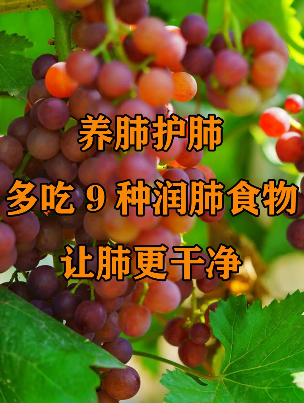 养肺护肺,吃这9种润肺食物,肺干净,消结节 肺是与外部空气进行交换的