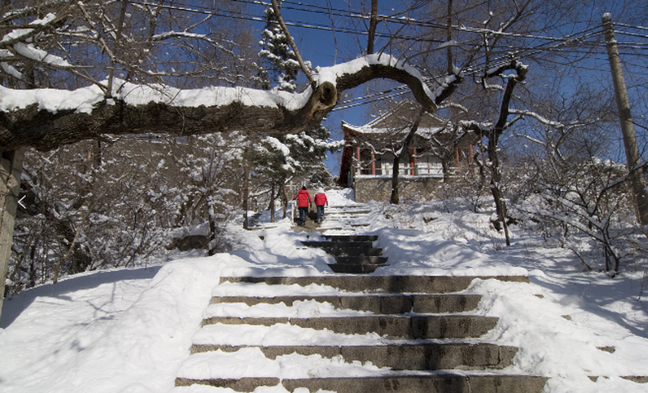 一到冬天,鸡西的凤凰山,就成了冰雪林海.