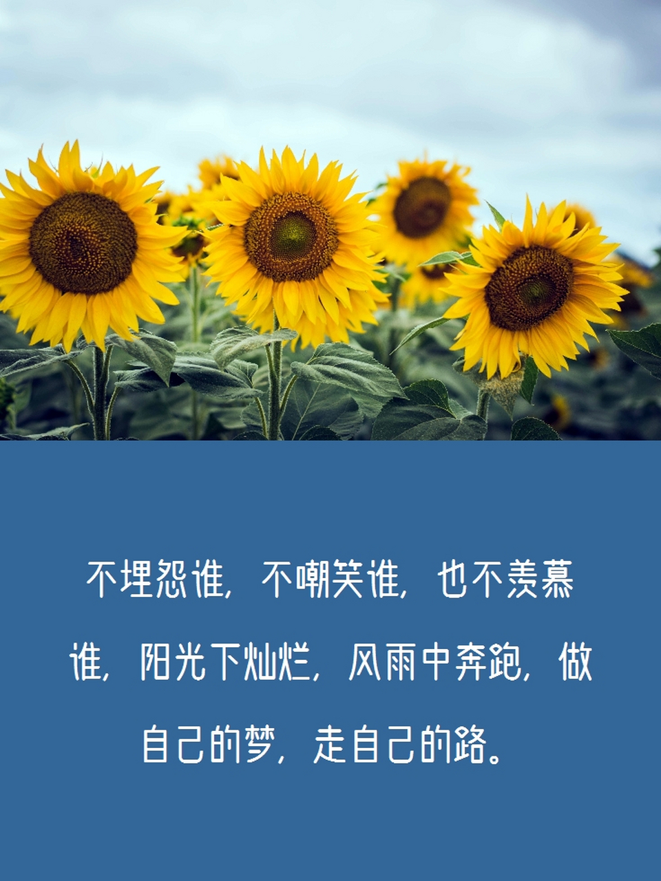 阳光心态快乐人生的句子