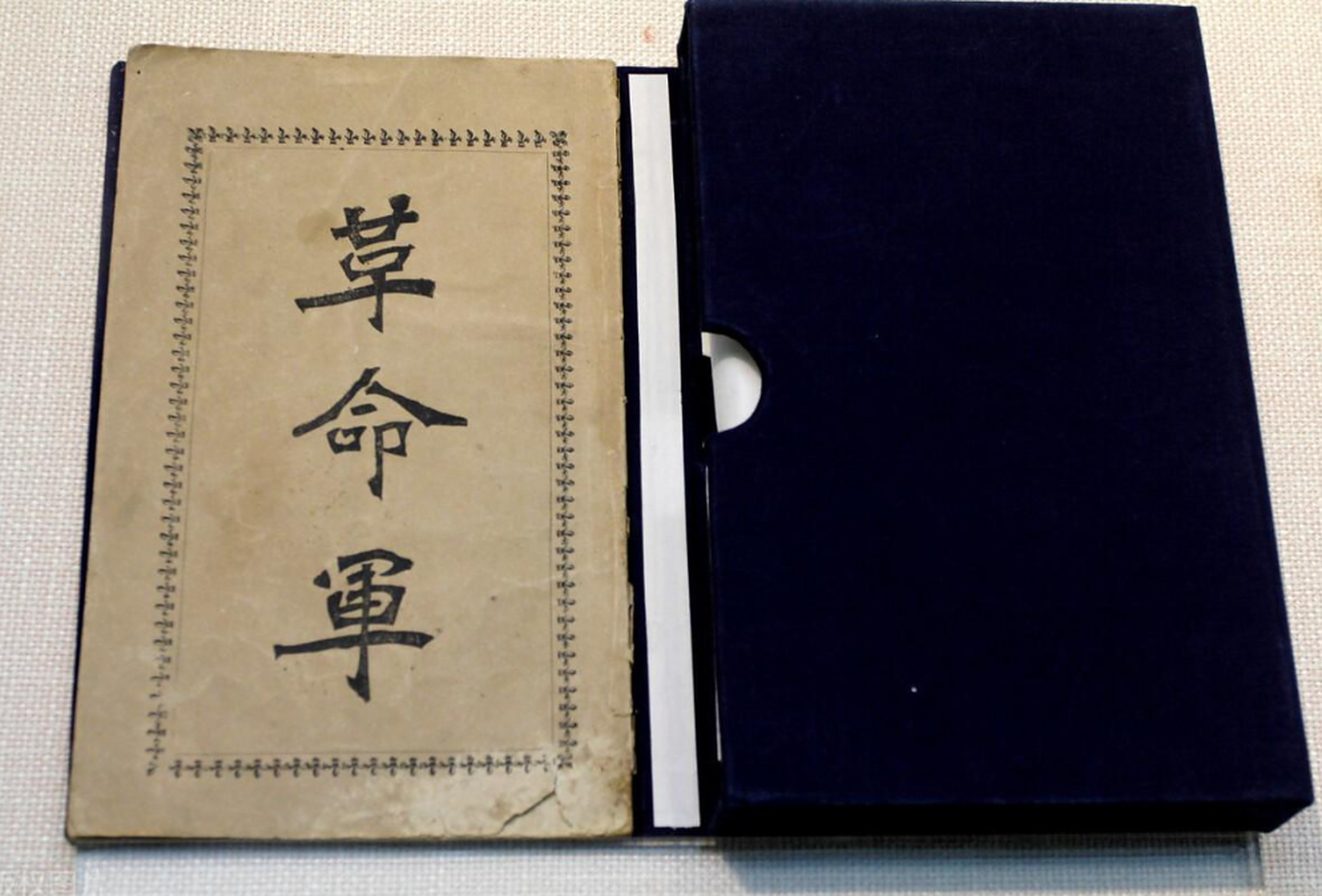 革命军中马前卒邹容,未当过兵,却有大将军名.