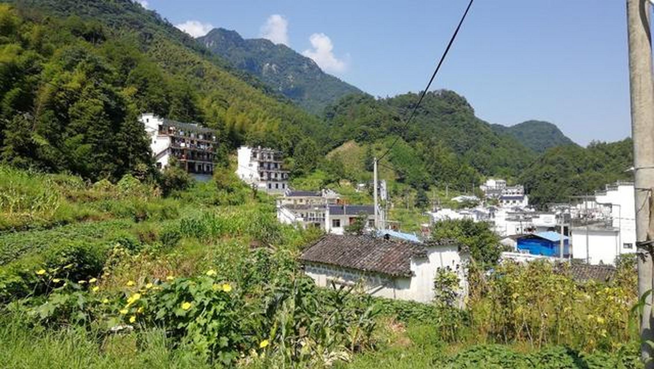 中國三大富硒村之一的大山村,地處皖南石臺縣仙寓山鎮境內的崇山峻嶺