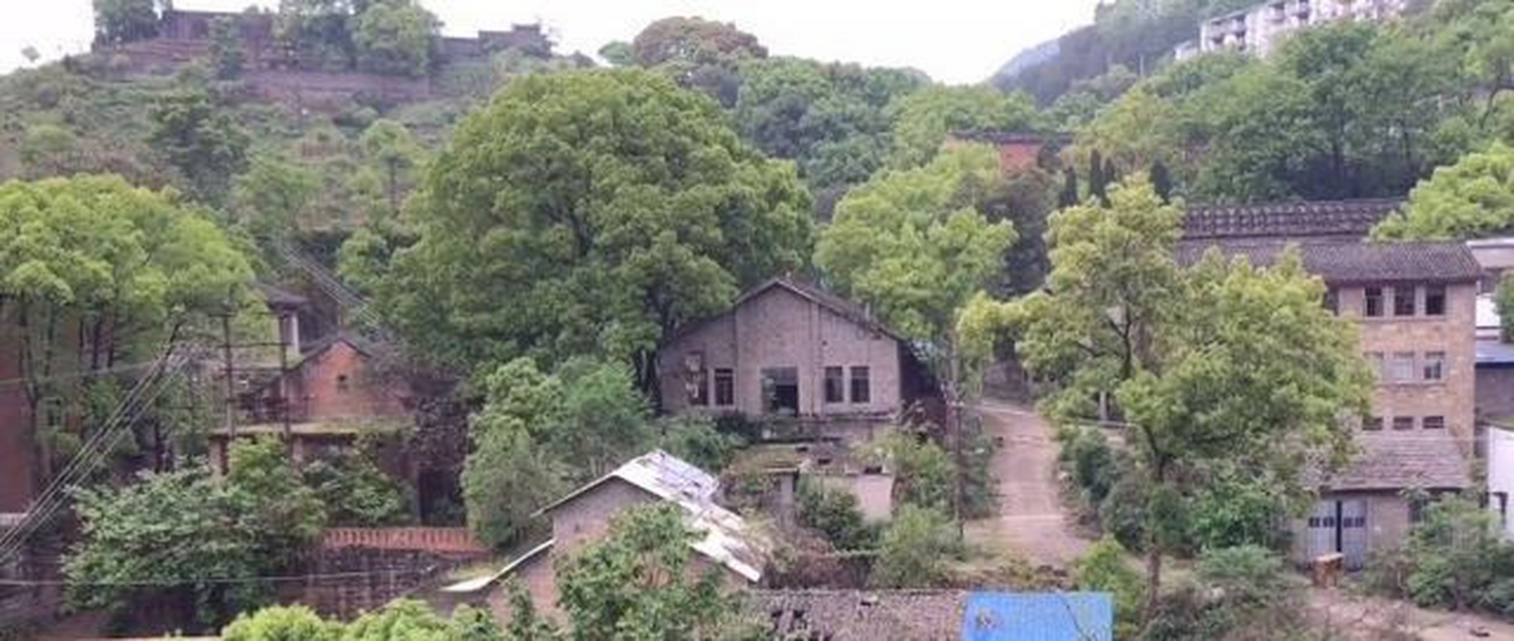 在重庆市万州区李河镇高升村,这里有一片风景特别秀丽,且树木繁盛的