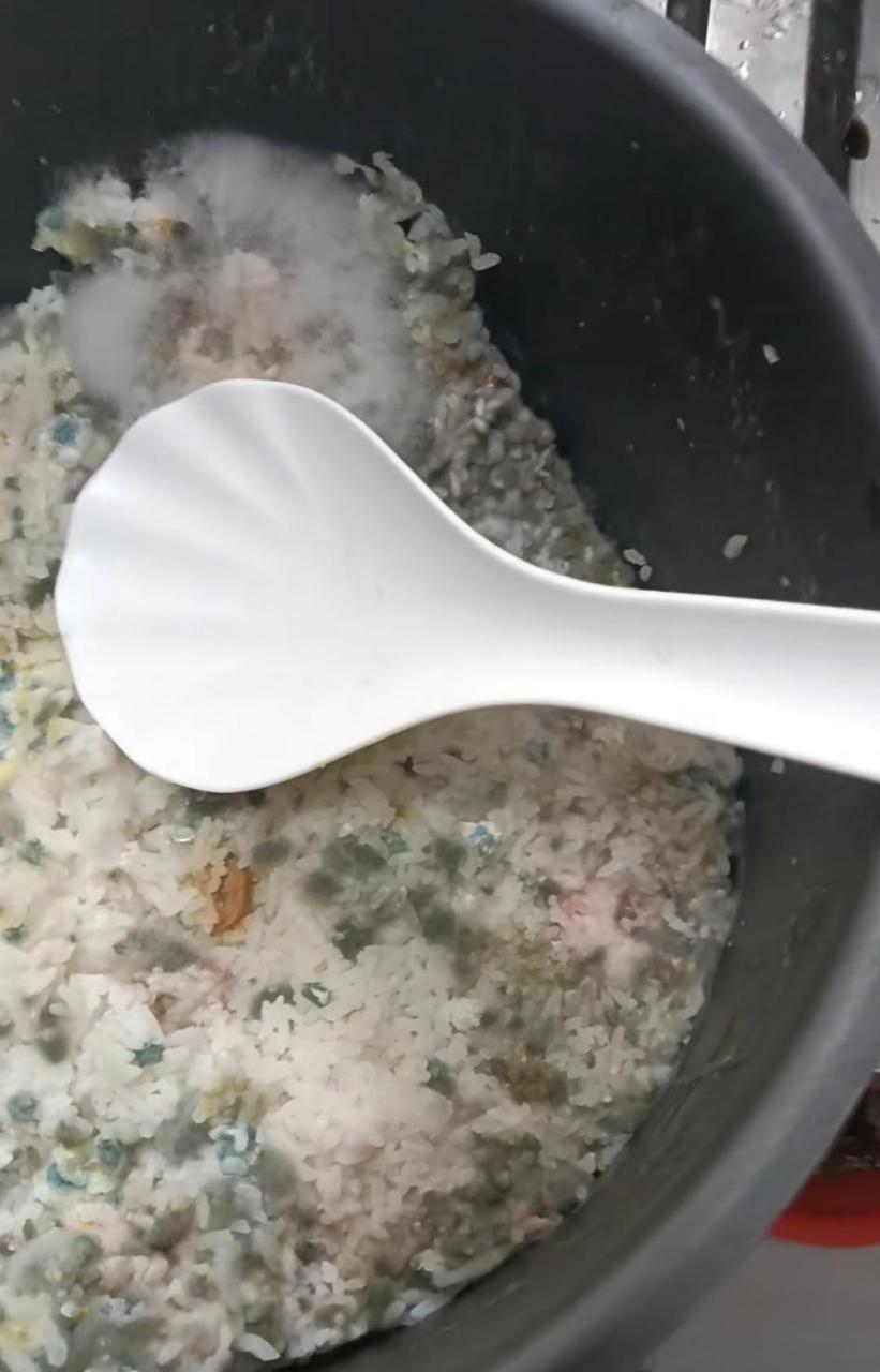 网友:媳妇天天打麻将,我打工回家米饭都发霉了,她天天上餐馆吃饭,唉