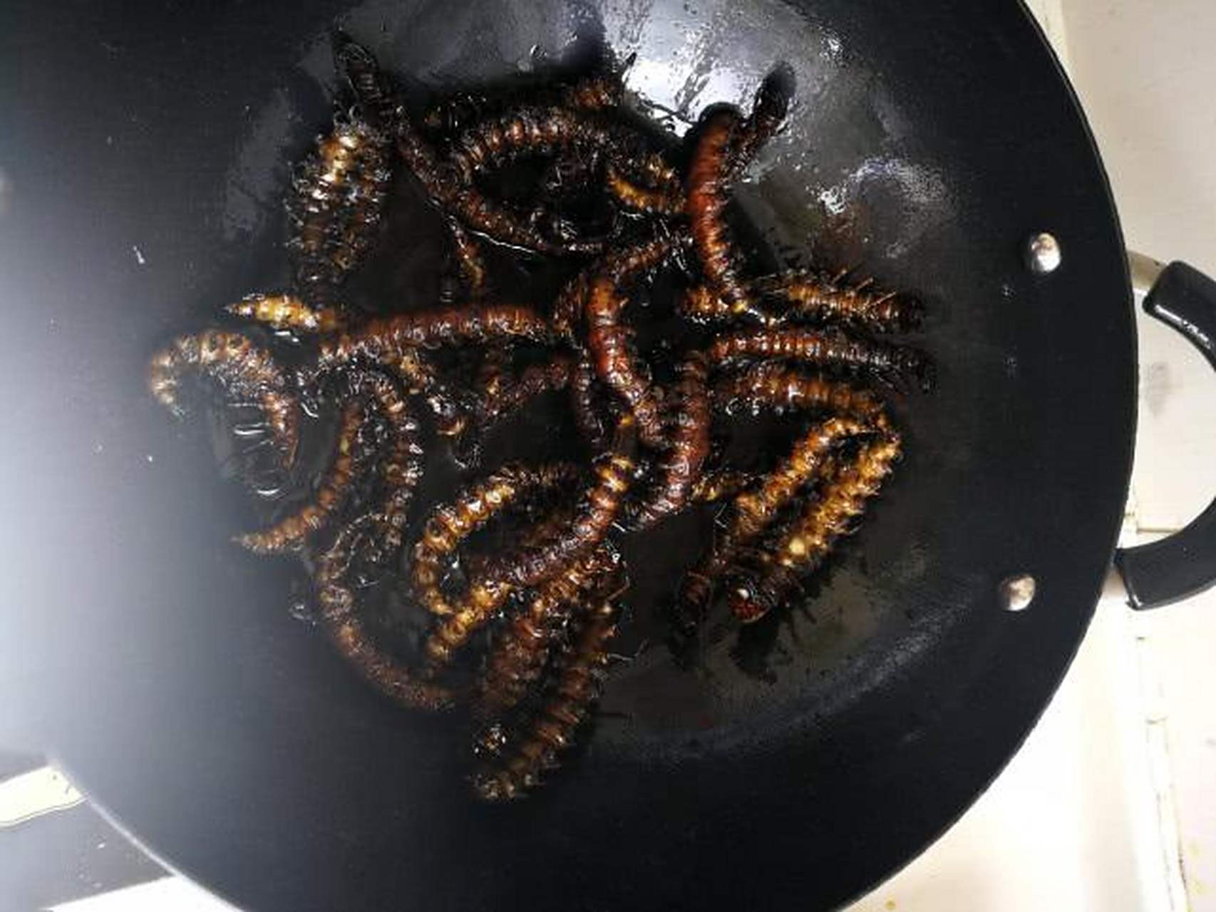 水蜈蚣,又名水虎,水夹子,为龙虱的幼虫,是一种水生甲虫