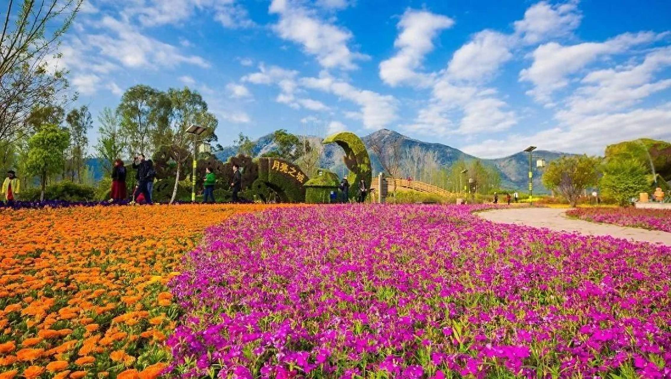 石象湖,这个成都近郊的著名赏花胜地,真的会让人惊艳到了极致!