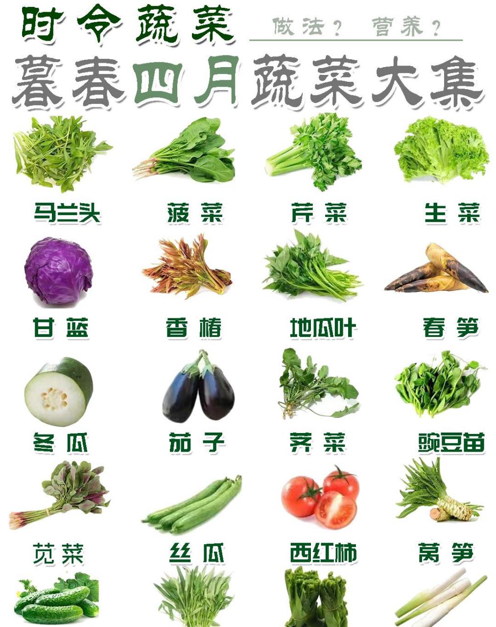 四月是春季,也是蔬菜的应季,蔬菜是春季饮食的重要组成部分.
