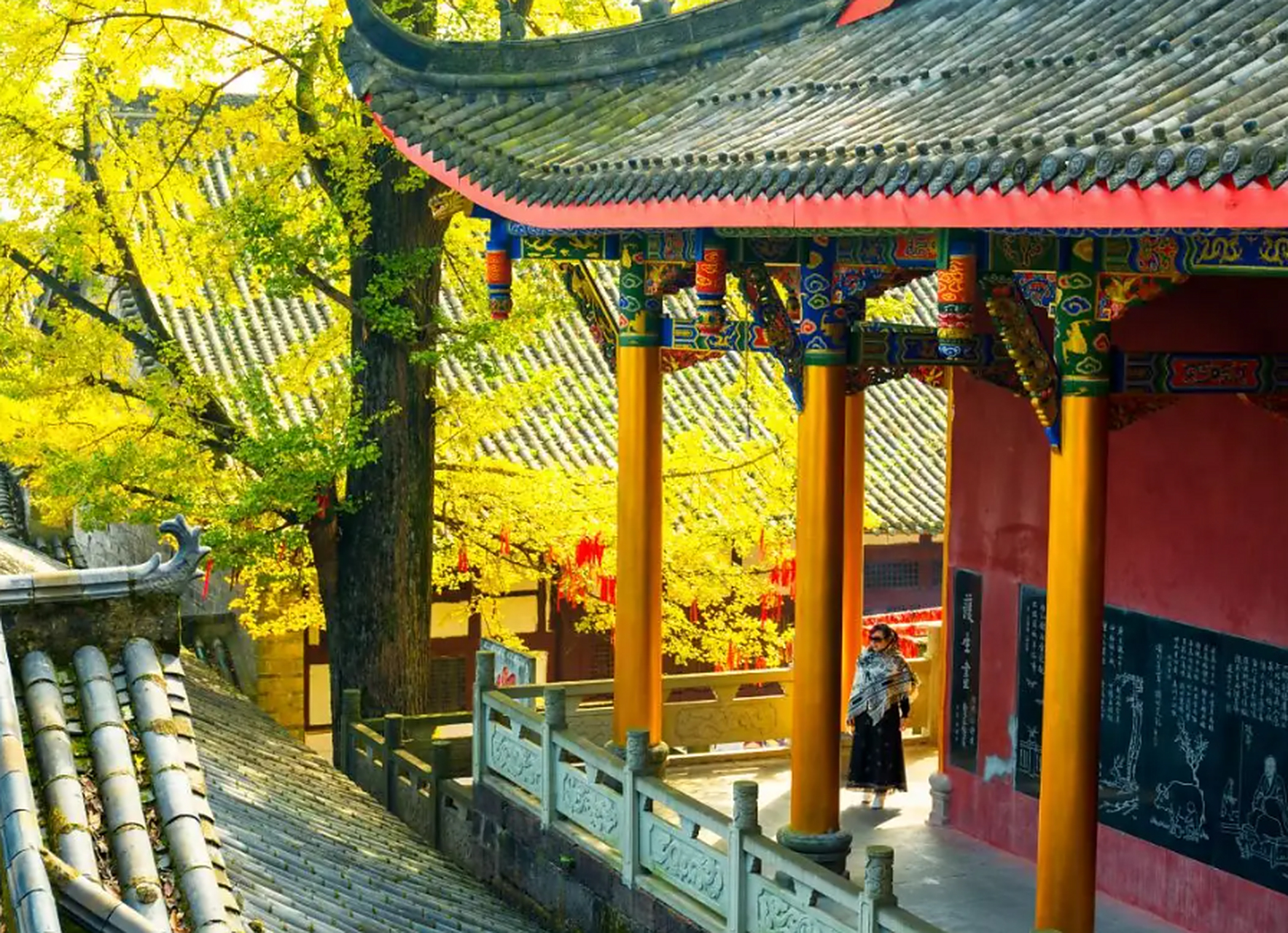 想来一场秋季说走就走的旅行(想来一场说走就走的旅程)