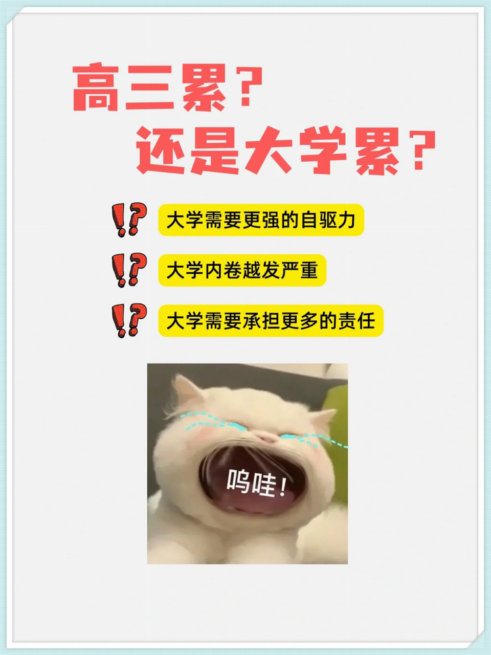 高三累还是大学累6315你怎么觉得6315  #当代大学生内卷现状