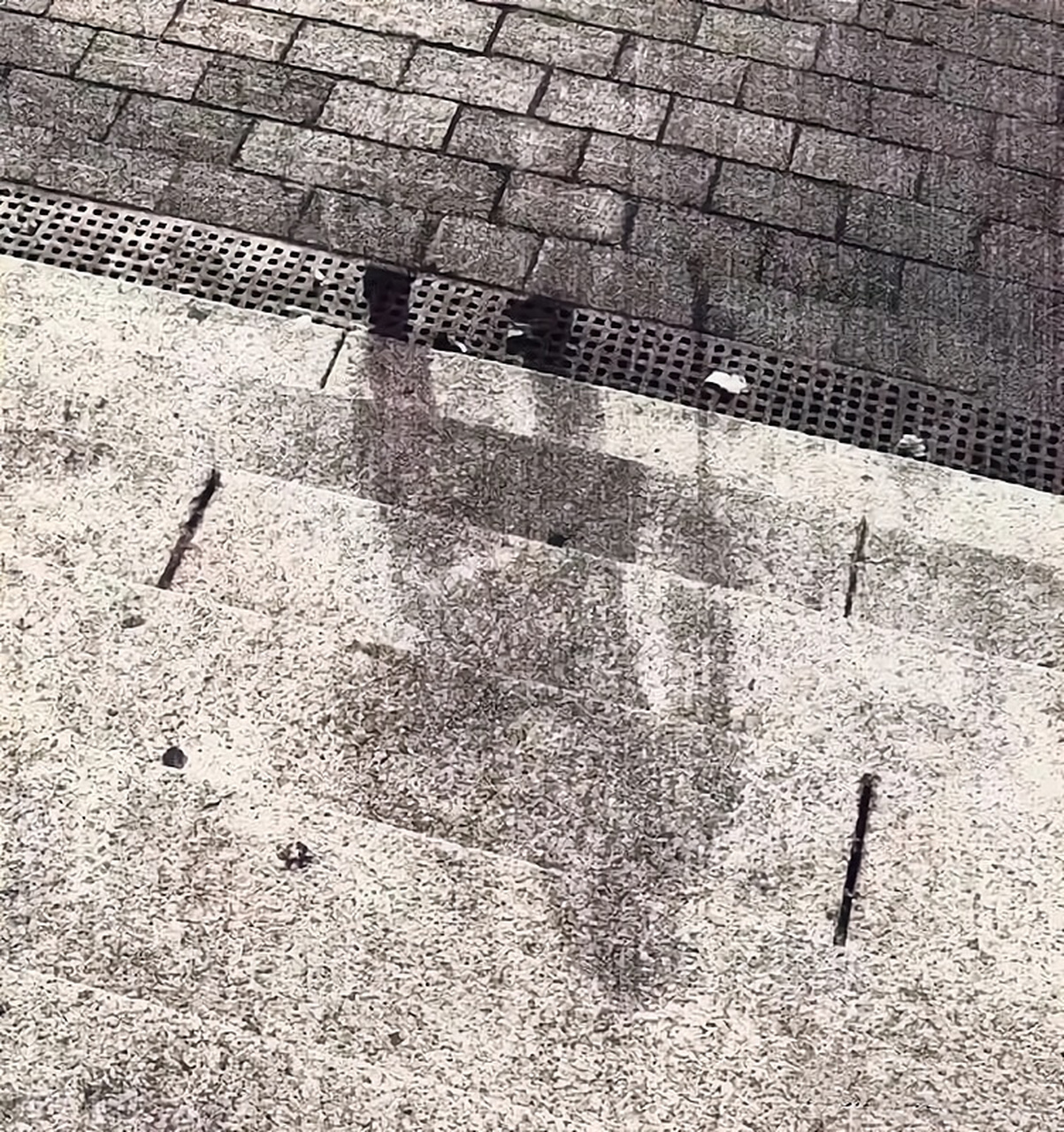 1945年,日本广岛,在原子弹爆炸后,地面上一道已经"气化"的人影,当时