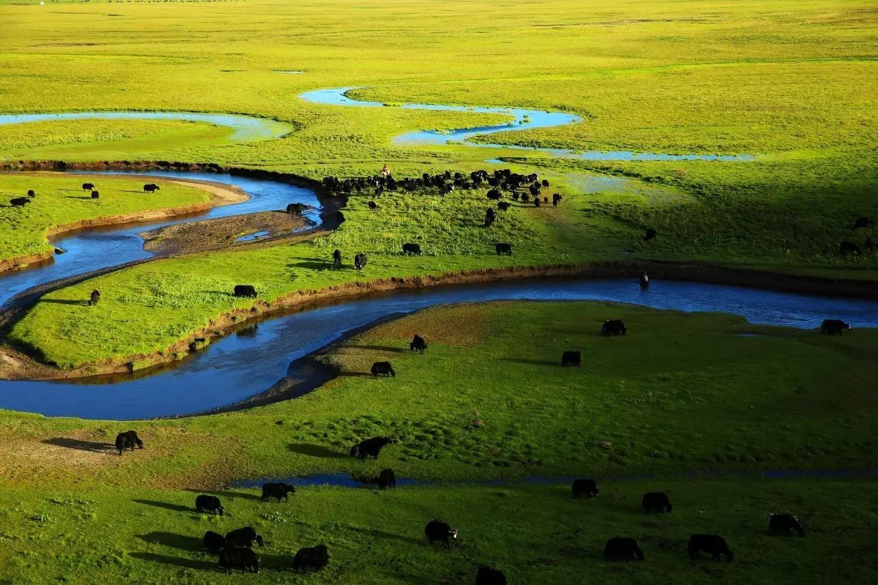 邦杰塘草原地处米拉雪山的中部以.@陈小李领域的动态