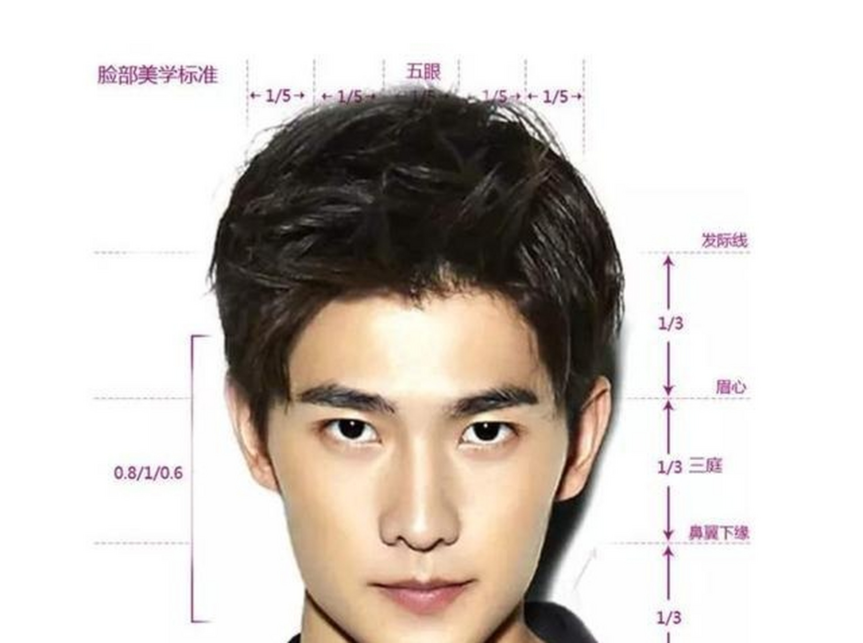 于是网友把杨洋,沈腾和作家莫言,麦家打包成了"军艺f4"这个颜值与智慧