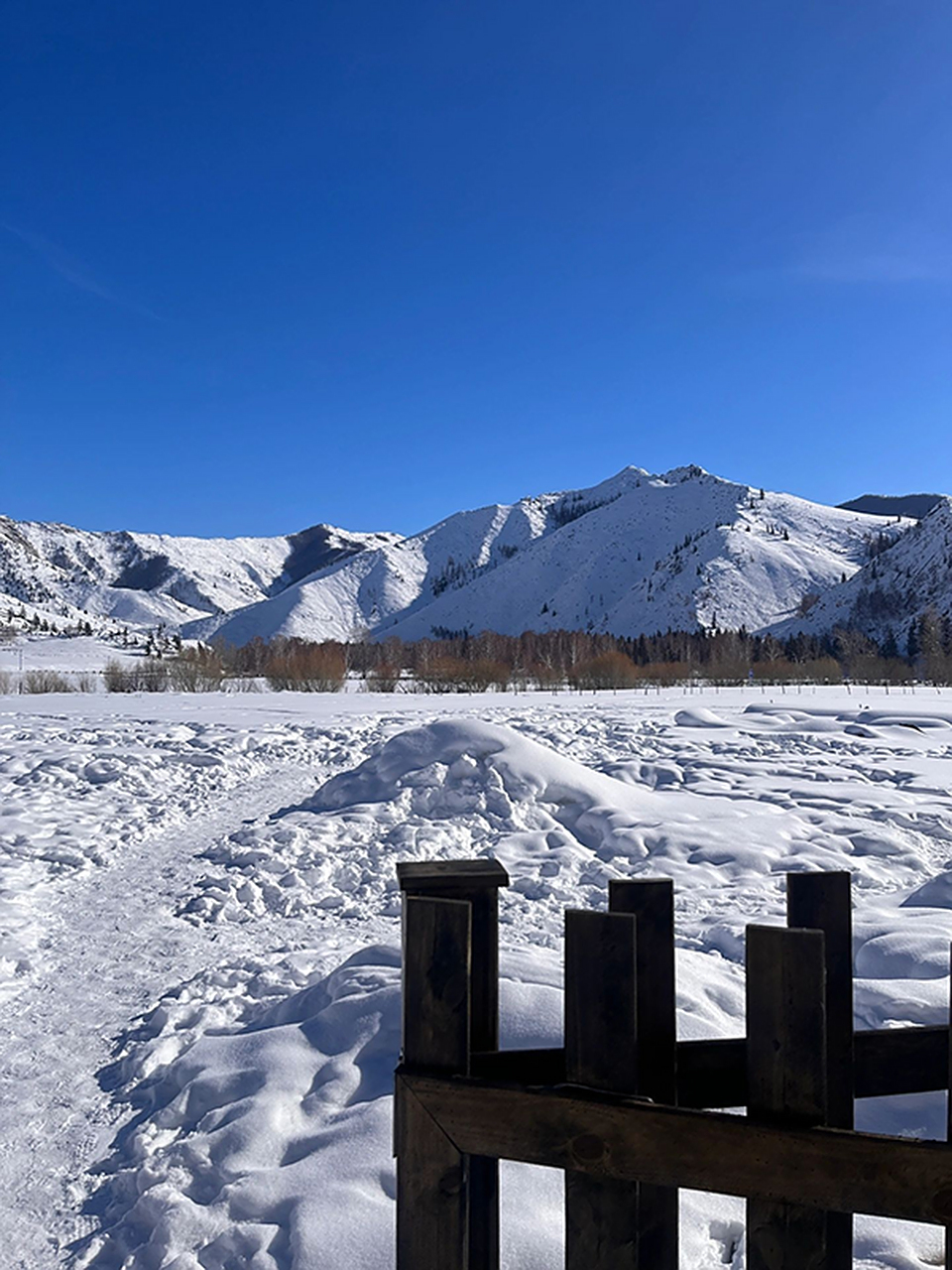 阿勒泰被雪山治愈的冬天