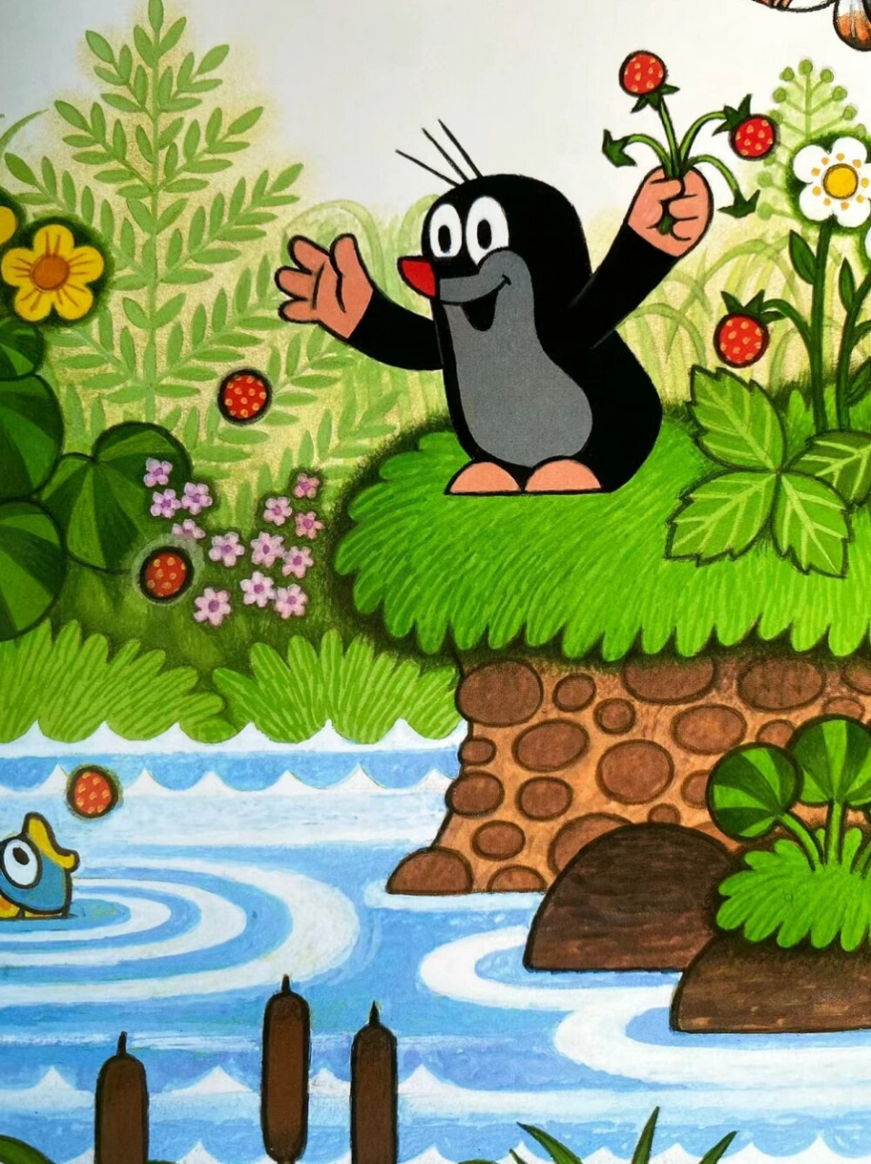 他的第一部动画电影《鼹鼠做裤子》在1957年的威尼斯电影节首次获得