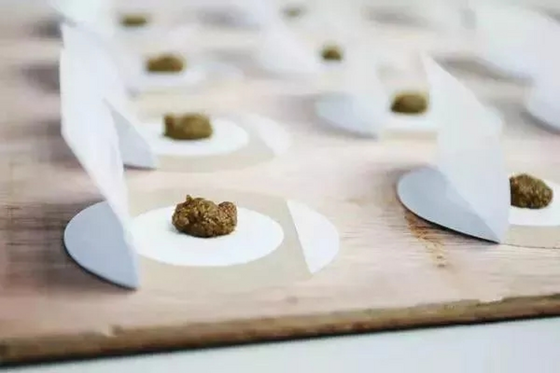 百色中医健康养生# 【三九天灸】 人常说:"冷在三九,热在三伏"