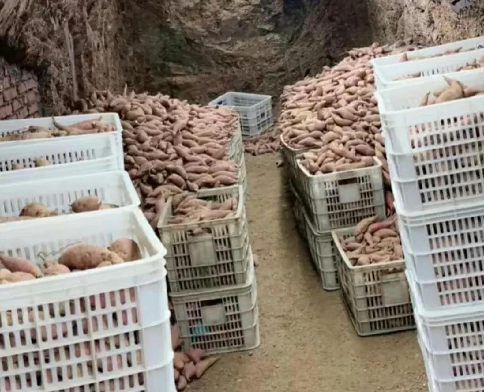 这是不是东北人家家户户都有的地窖