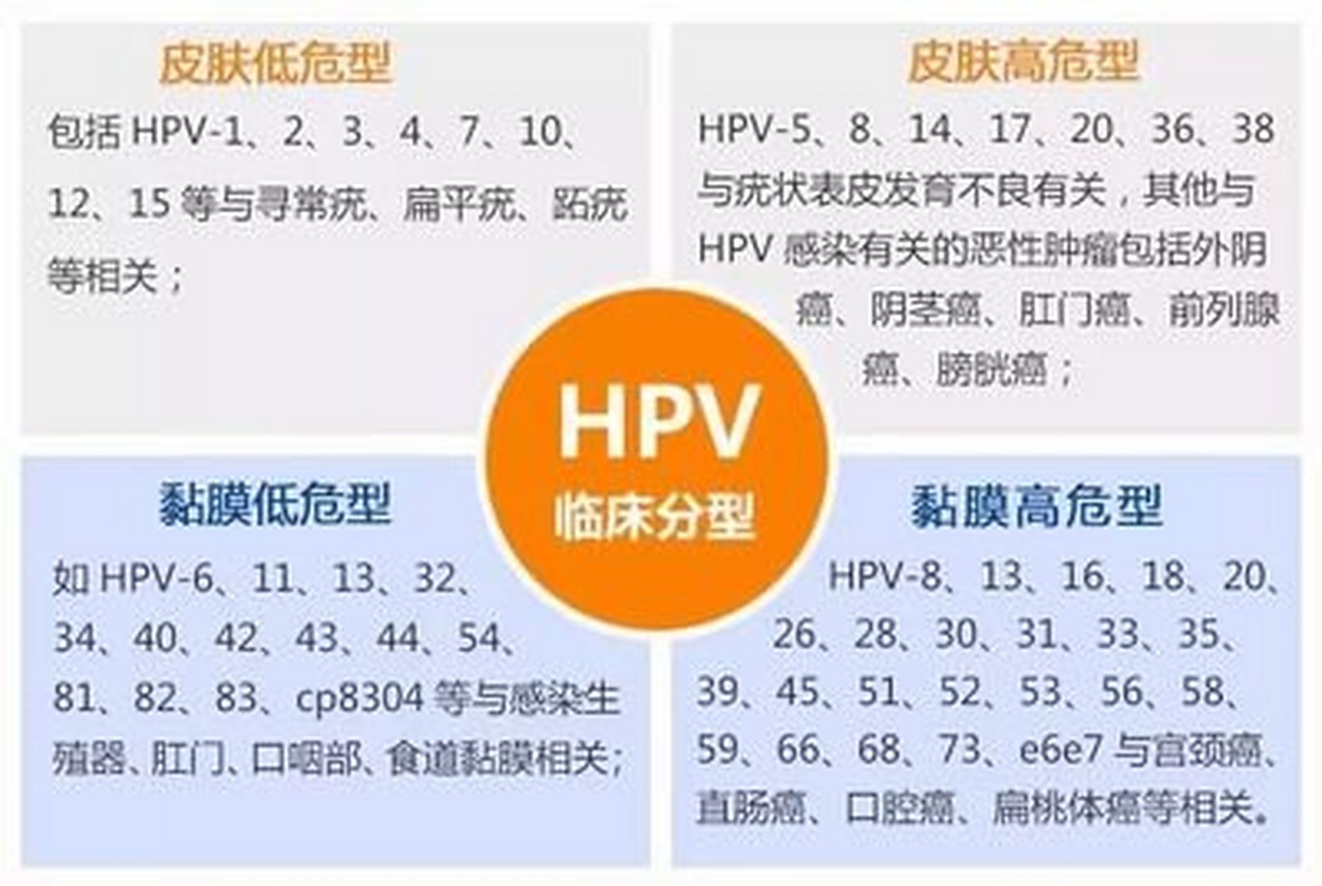 hpv查出阳性,你的型号是安全的吗?