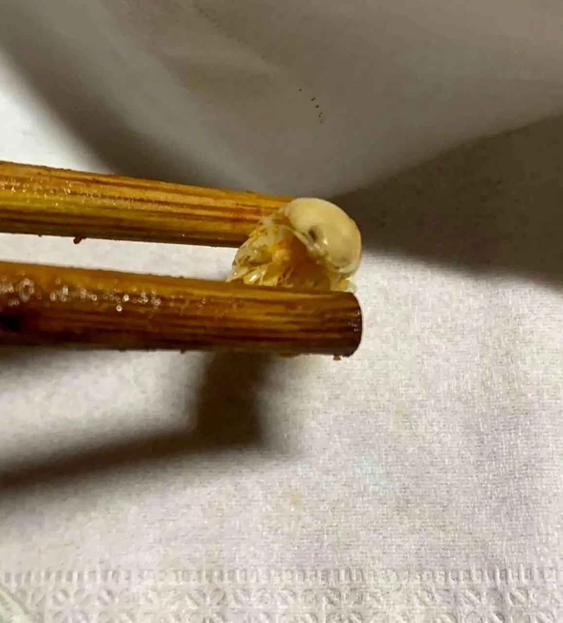 花甲里面吃出来的,这是寄生虫吗?[😱]