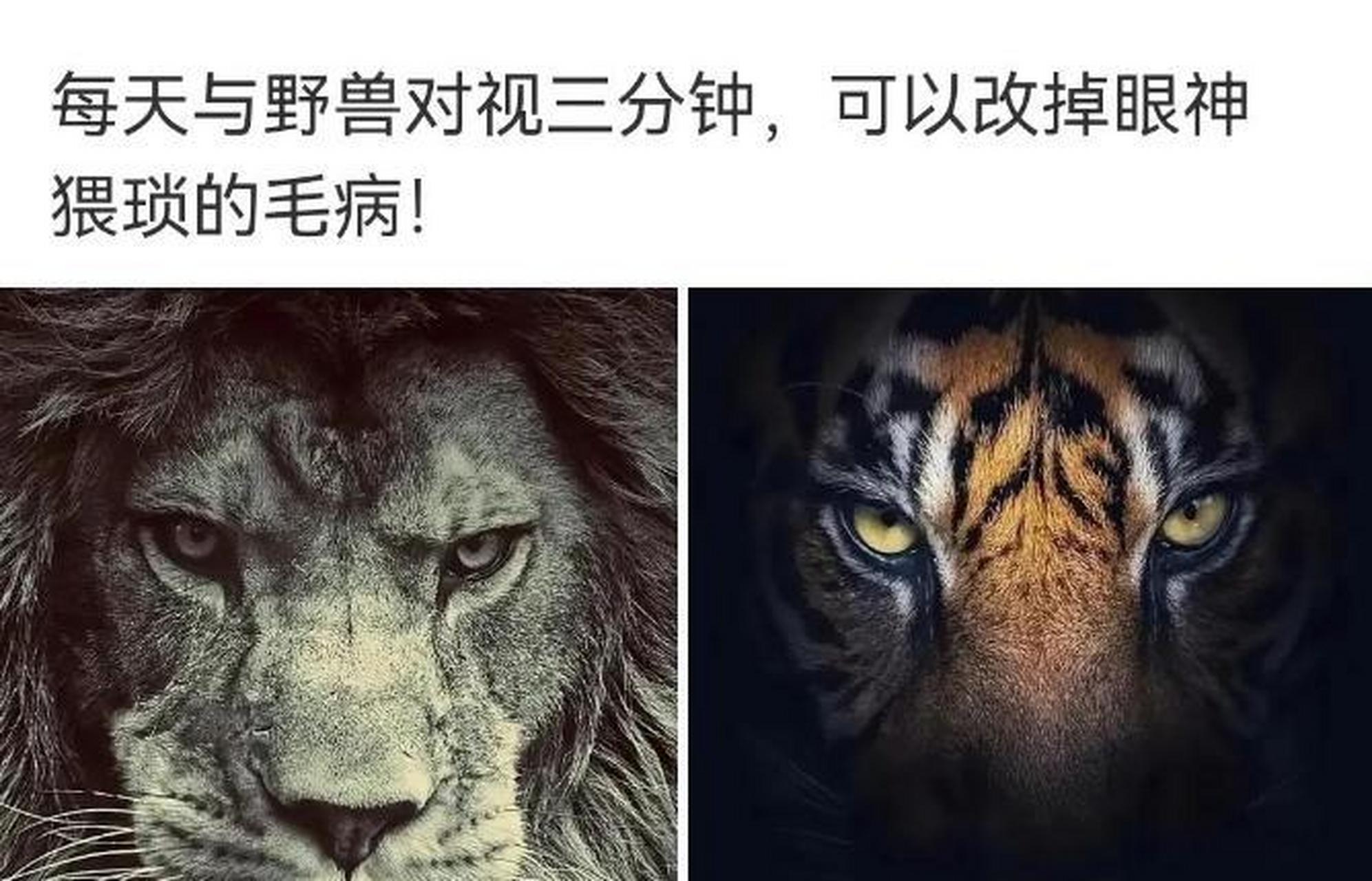 网友:你们对视,是看一个眼睛,还是看两个眼睛? #趣图搞笑