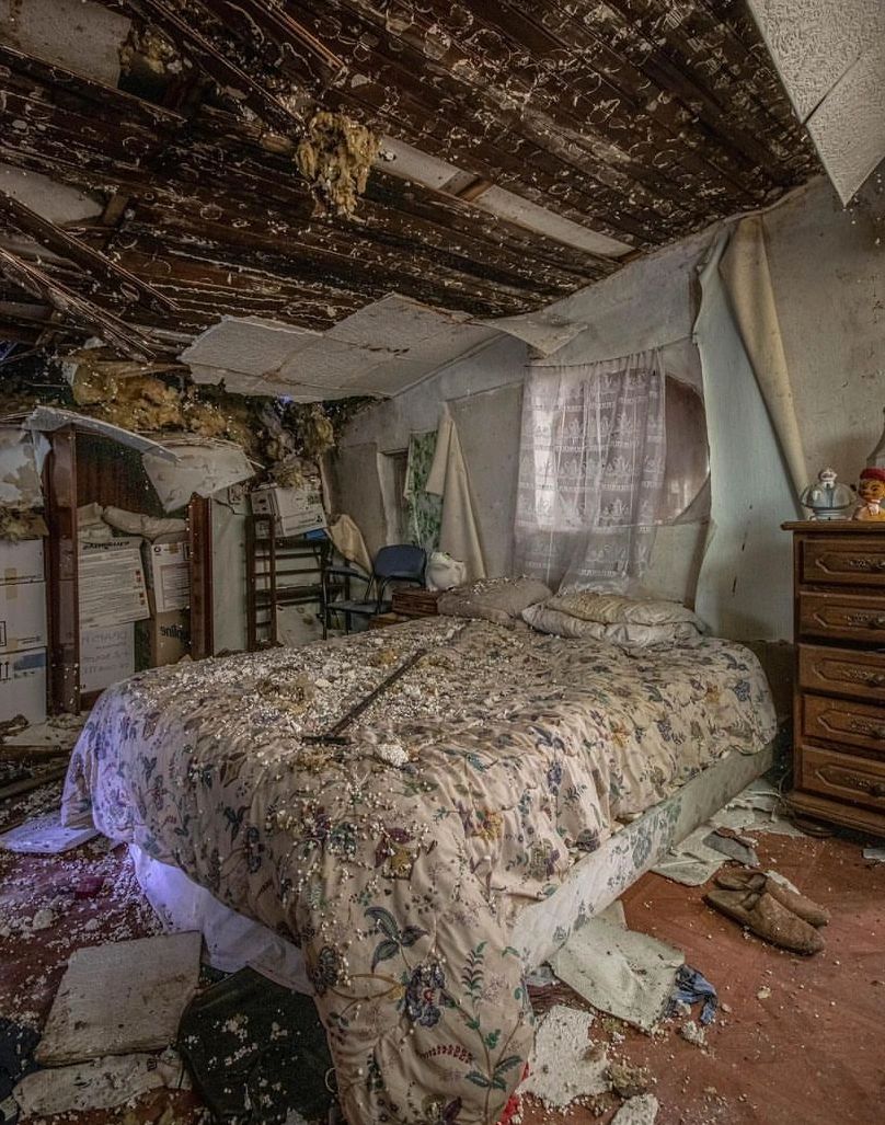 假设你被送进一个专门为你设计的破旧风书房,这里没有手机,没有wi