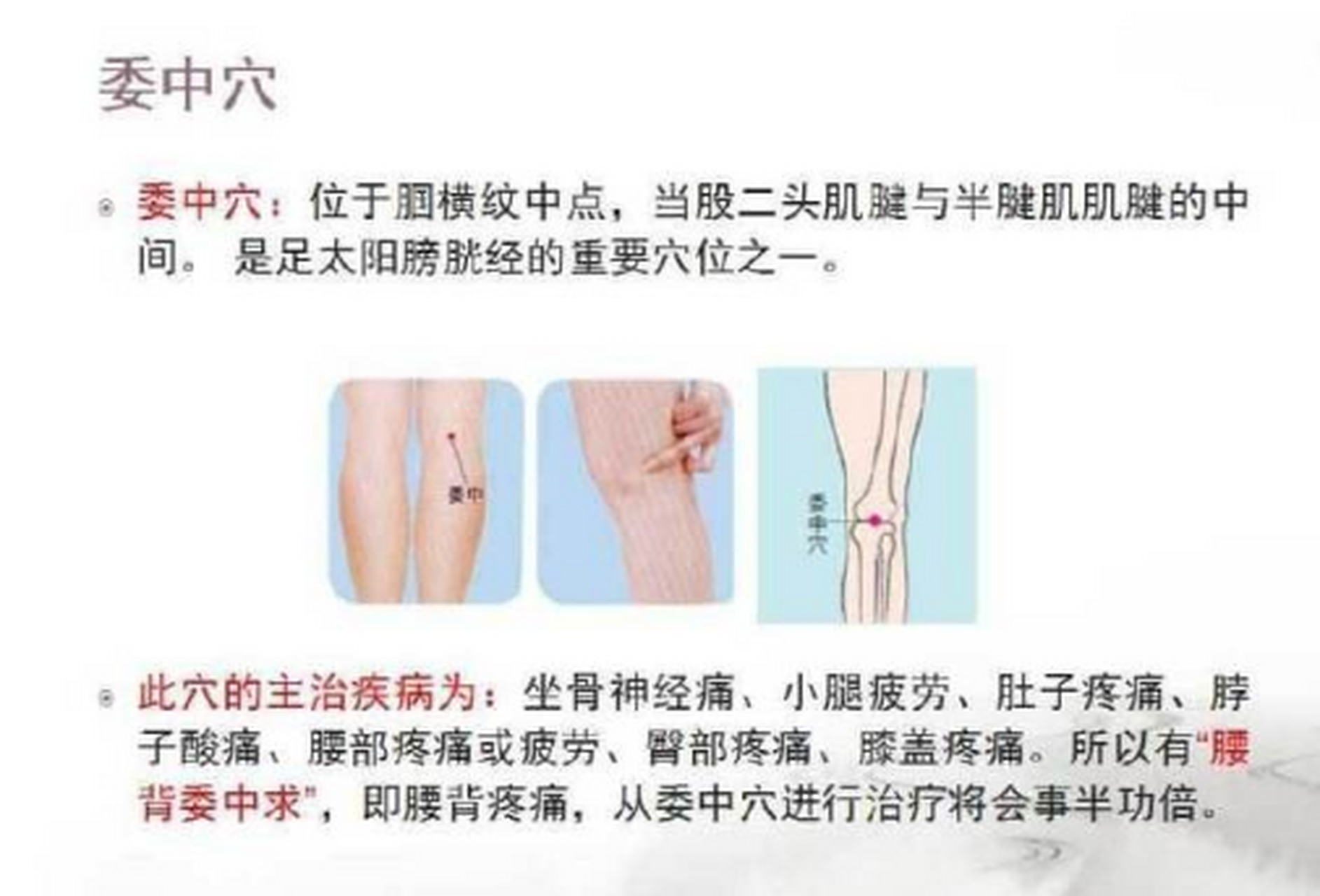 膝窝又称腘窝,在窝的中心点上,有一个重要穴位叫委中穴,走的是膀胱经.