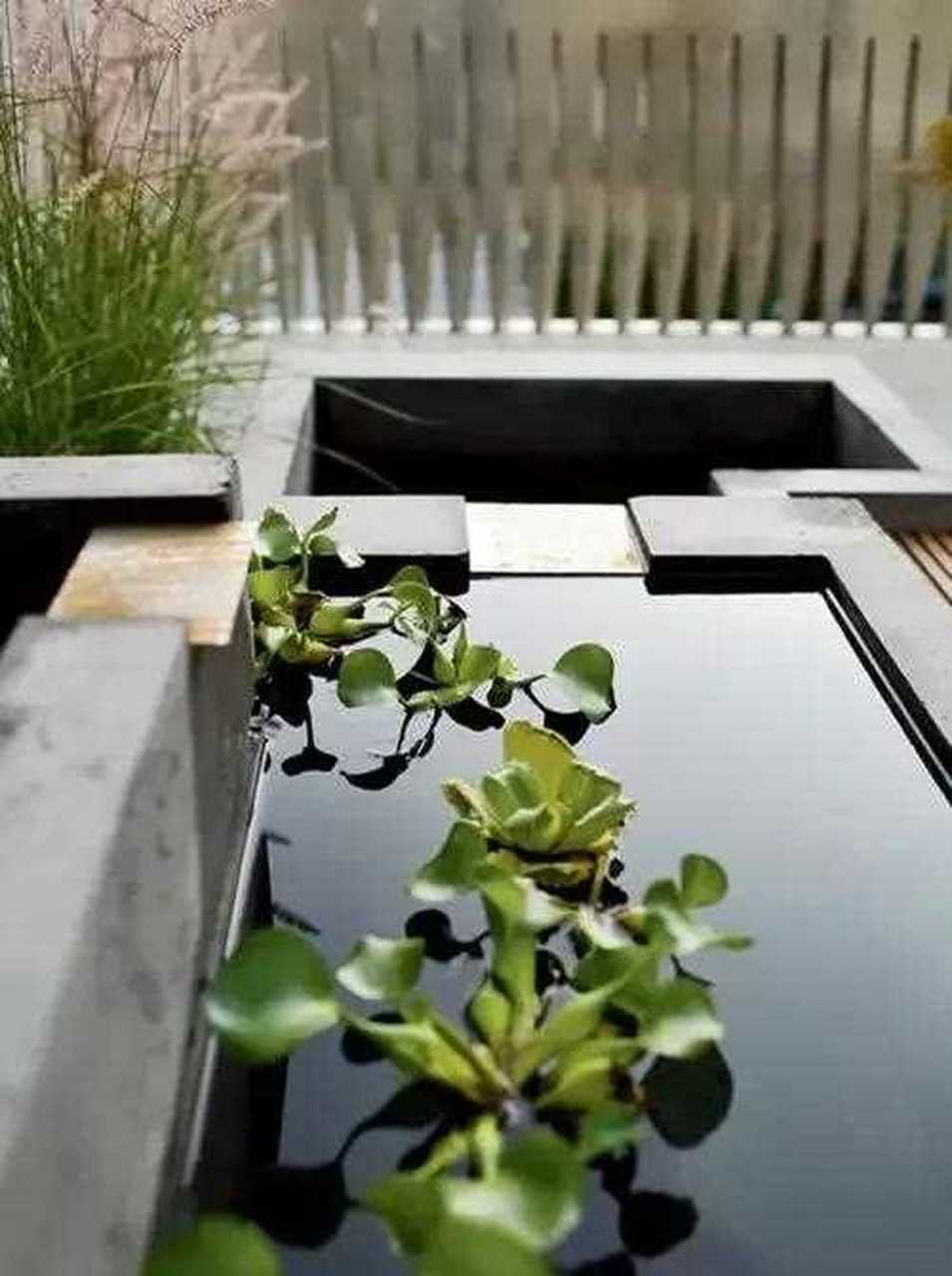 极简主义风格 庭院水系设计欣赏(2)