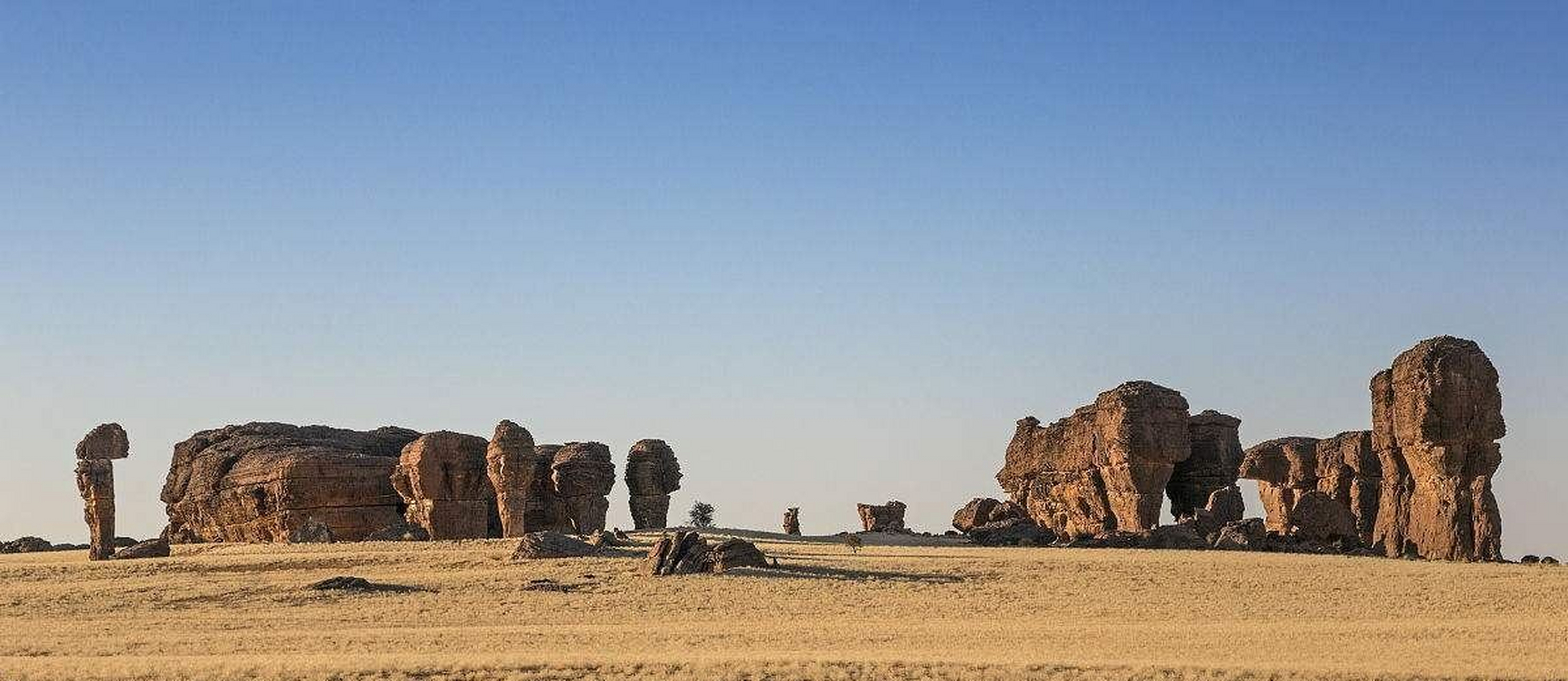 乍得是非洲中部的一个内陆国家,它与大多数非洲国家一样,经济发展受到