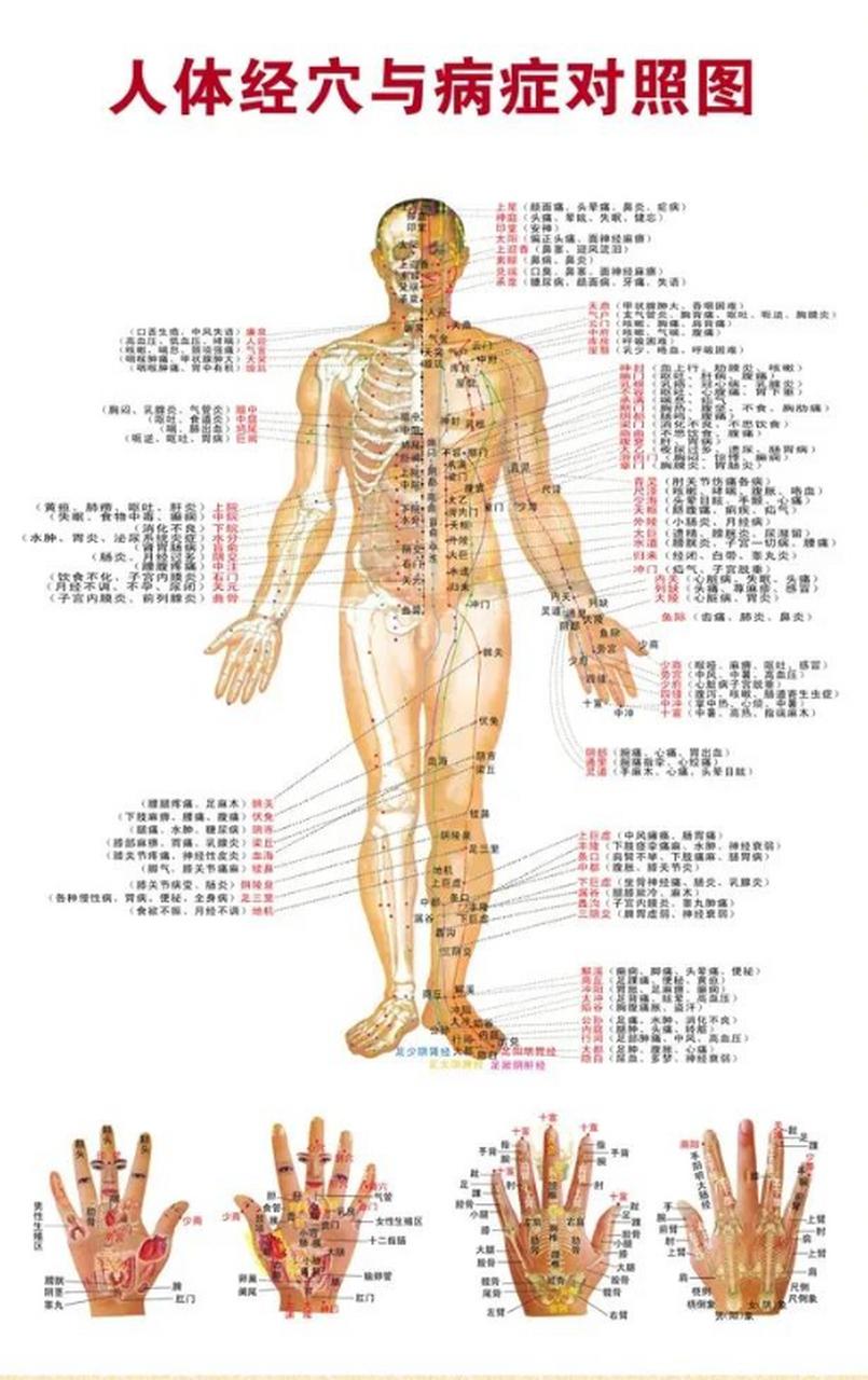 人体365个穴位,重要的无非这10穴,可调治百病,收好,以后用得到 1.