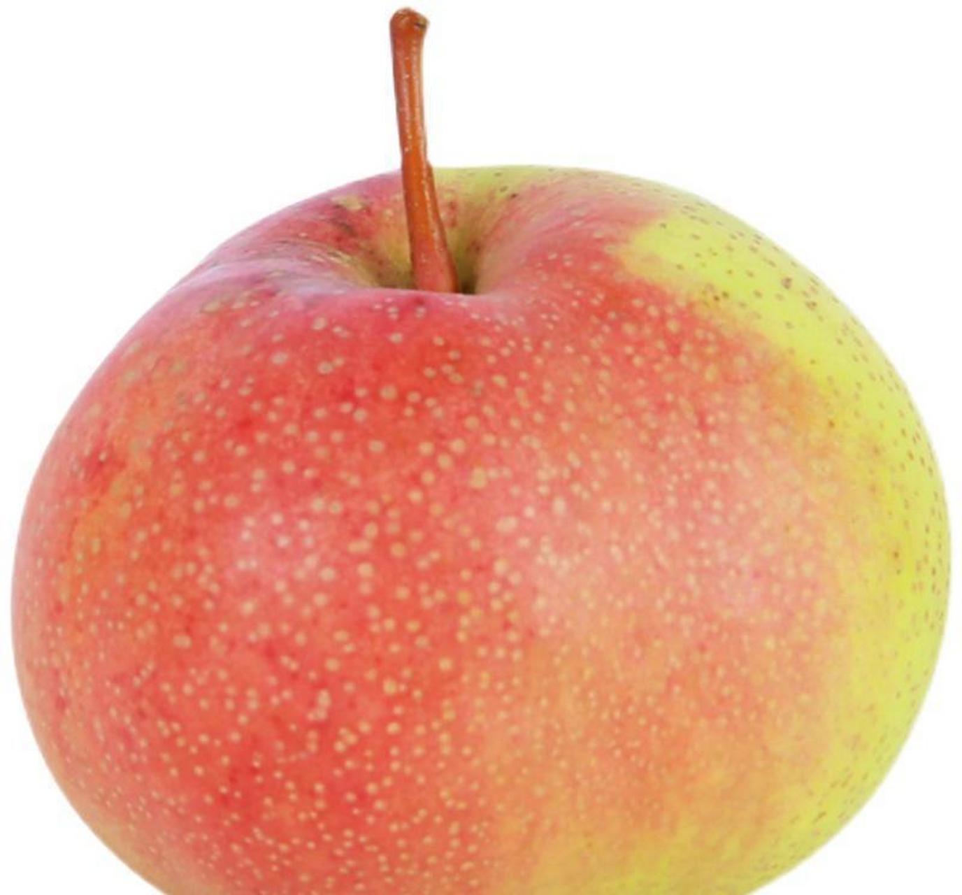 正宗甘肃民乐苹果梨张掖特产新鲜孕妇水果甘甜脆多汁吃了永远忘不掉.