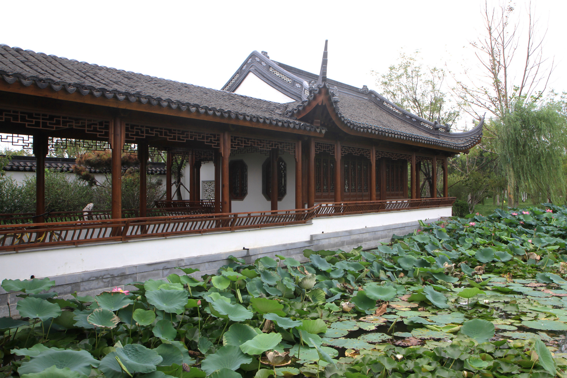 水西公园藕香榭