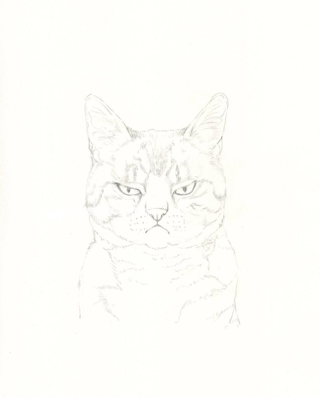 大家喜欢画小猫咪吗?