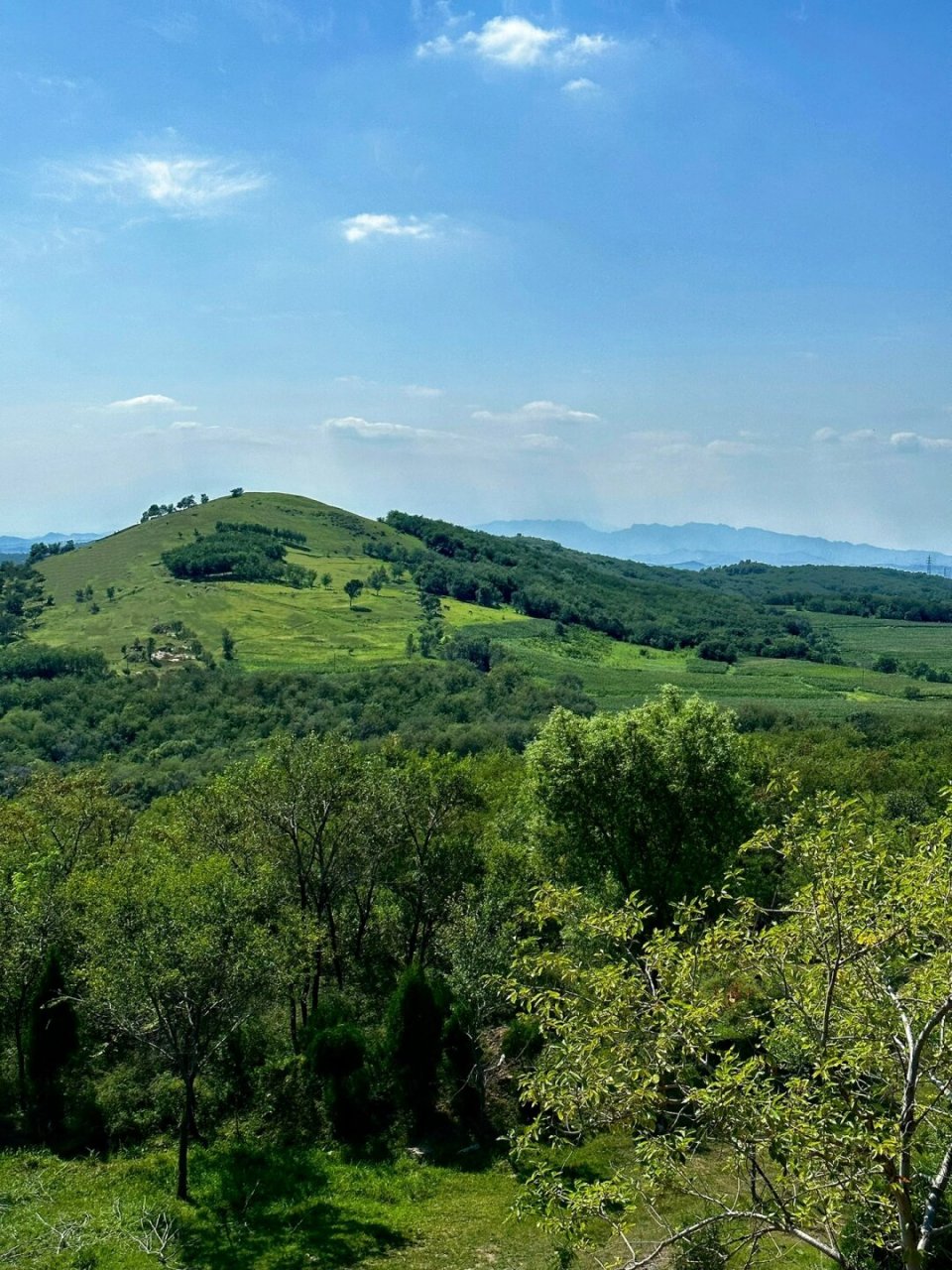 不是新西兰|是锦州海湾山  海湾山的美丽一览无余,草坪,海岸线和森林
