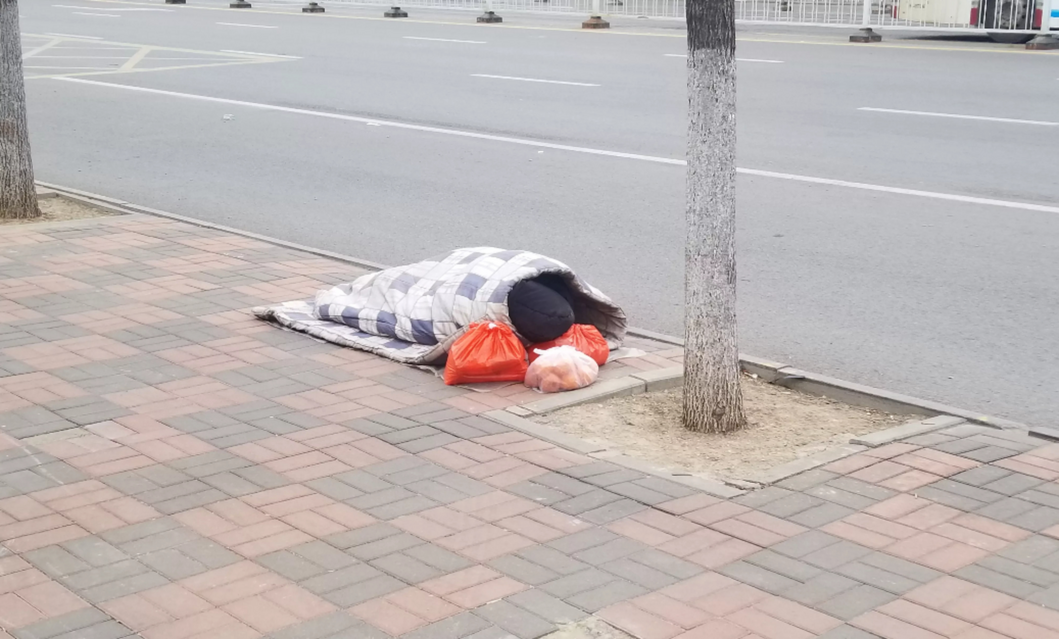 早晨上班在天塔附近看见一个睡在大街上的人,地上铺着被褥,穿着黑棉袄