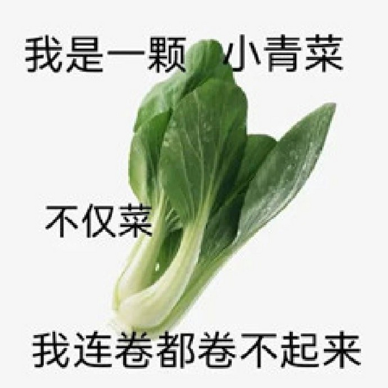 求求你们别卷了[捂脸]