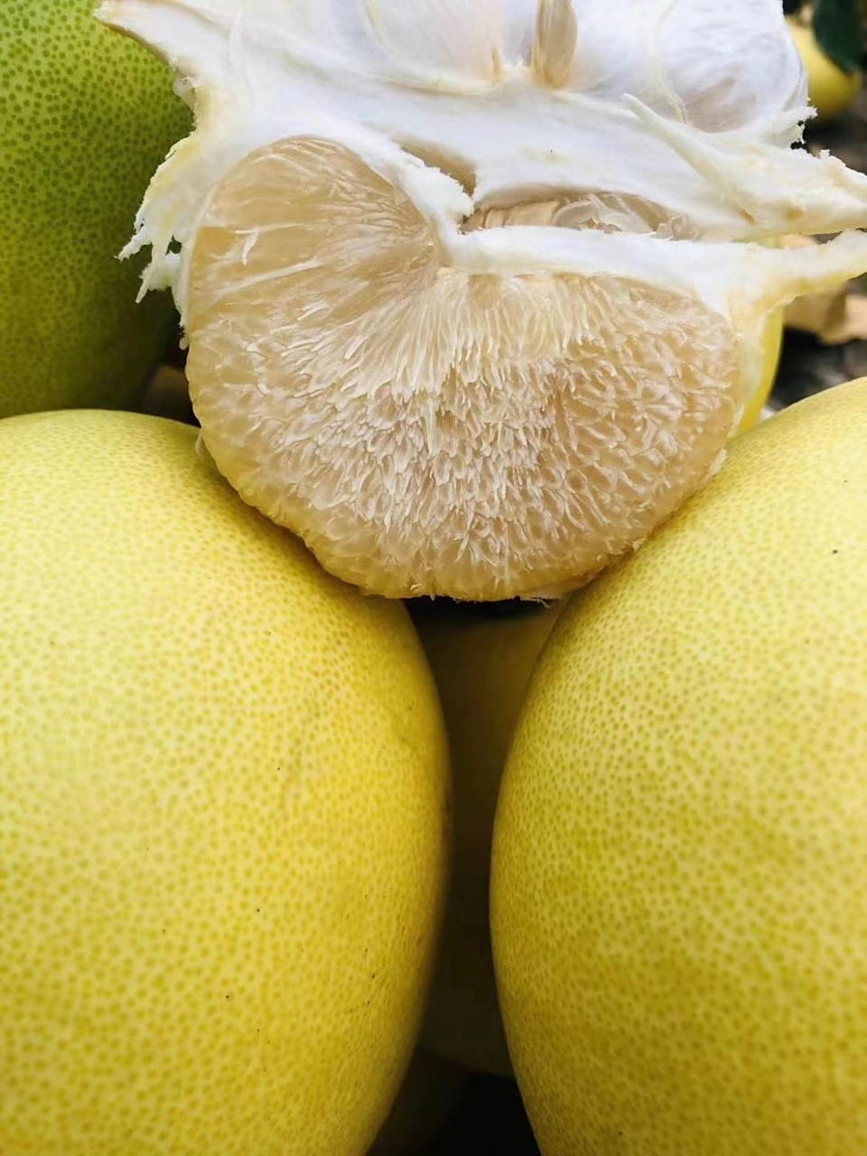 玉环柚的做法(玉环柚子多少钱一斤)