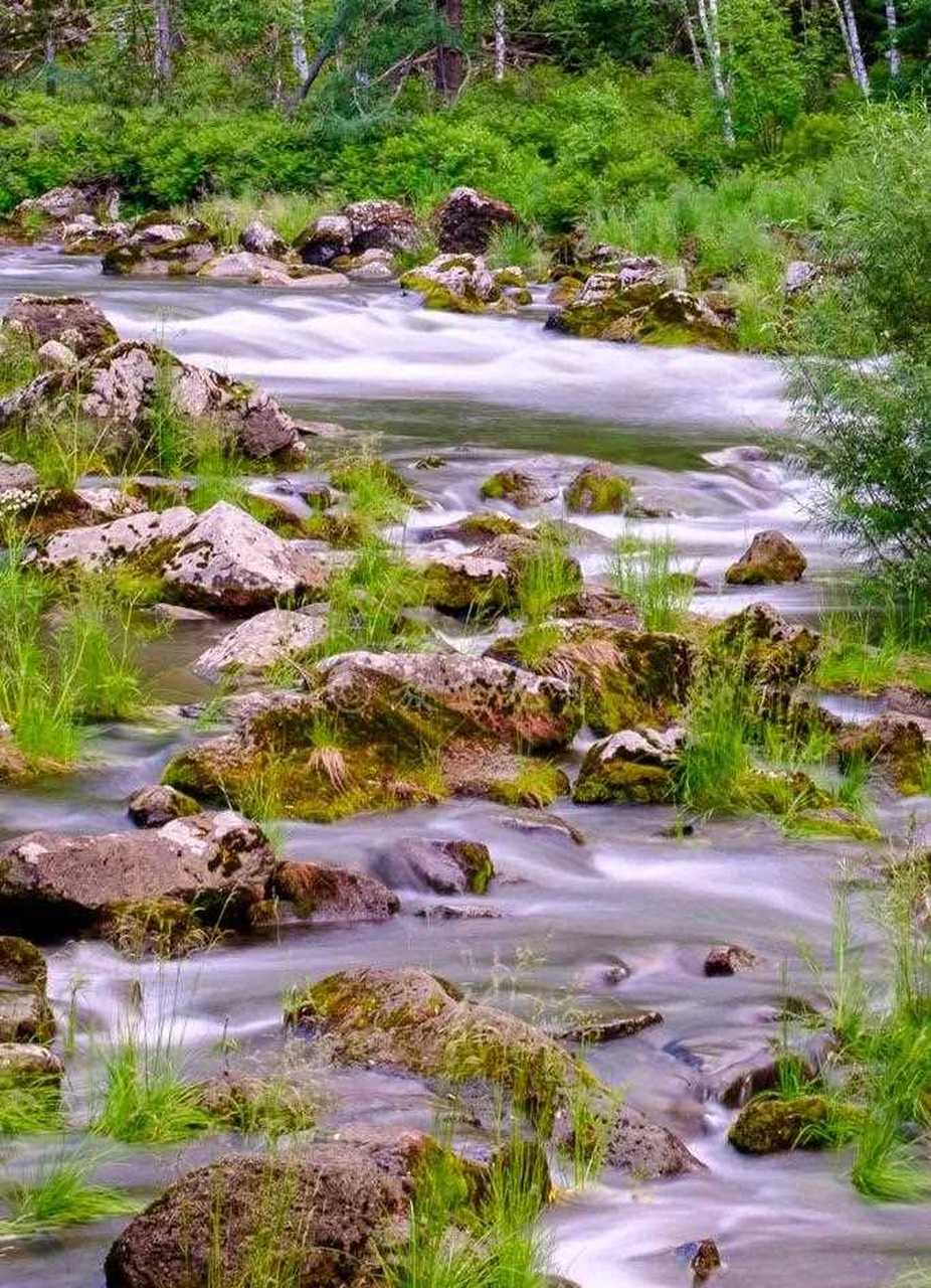 阿尔山的三潭峡,位于哈拉哈河的上游.