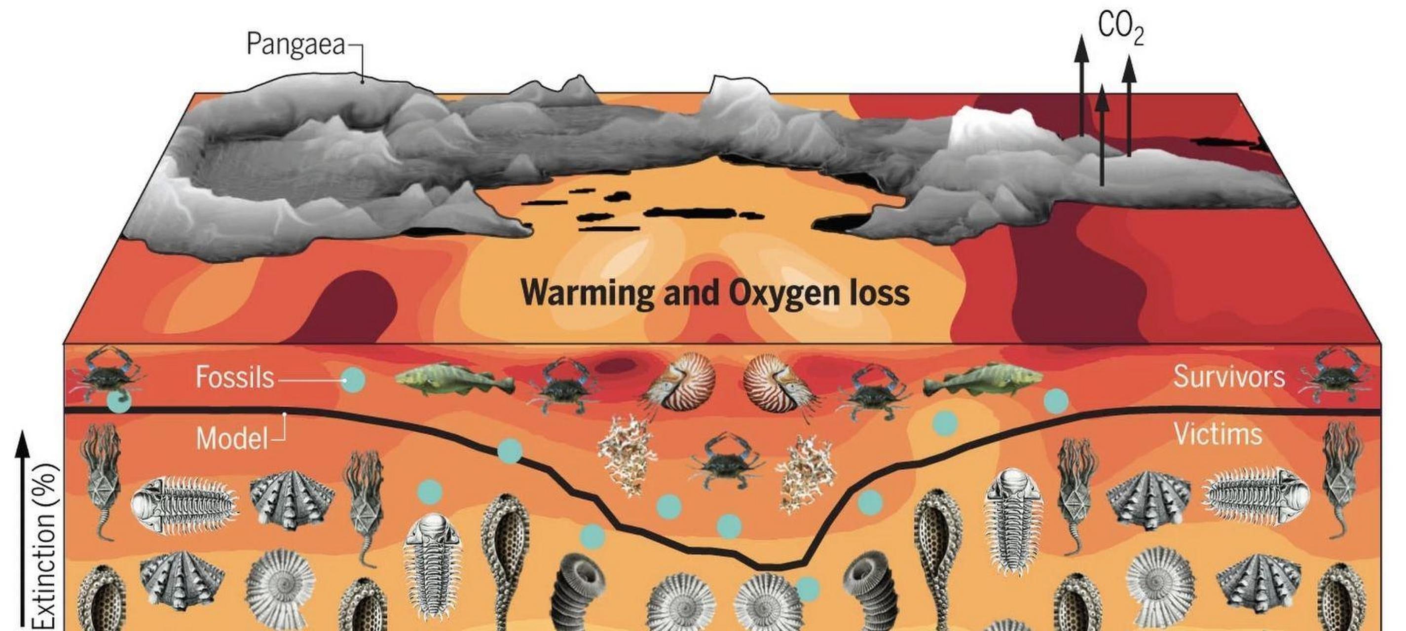 第六次生物大灭绝图片