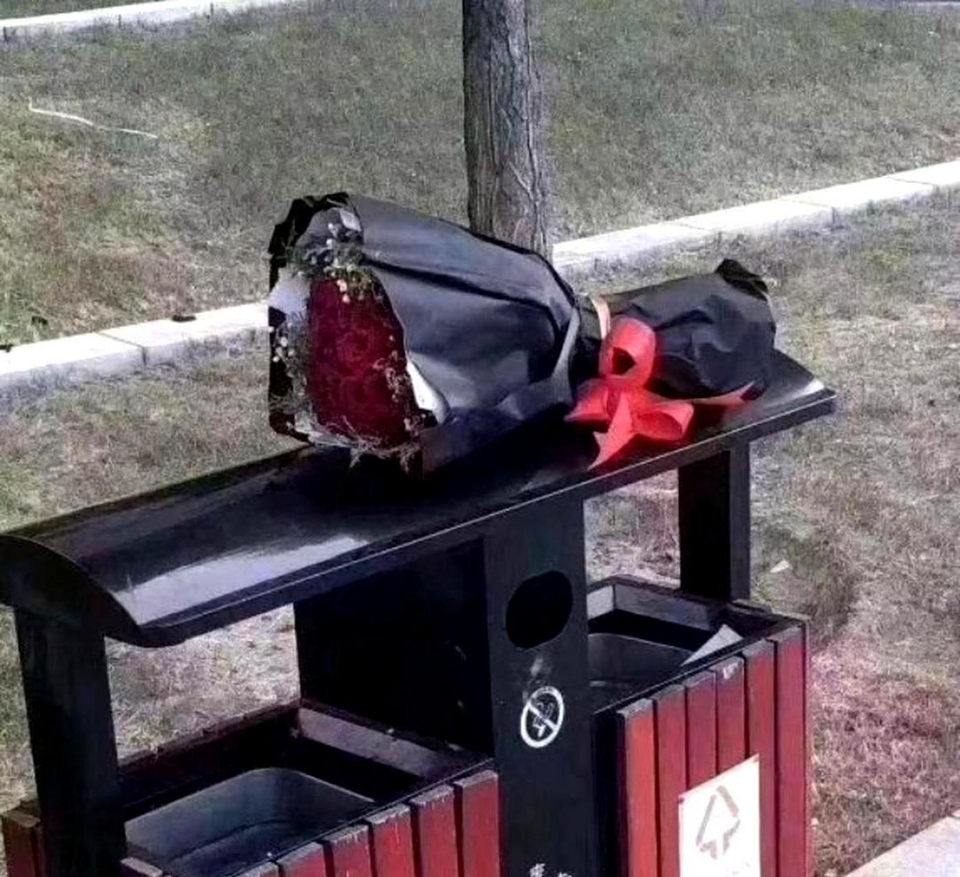 在垃圾桶里发现一束玫瑰花,意外地获得了额外的惊喜.