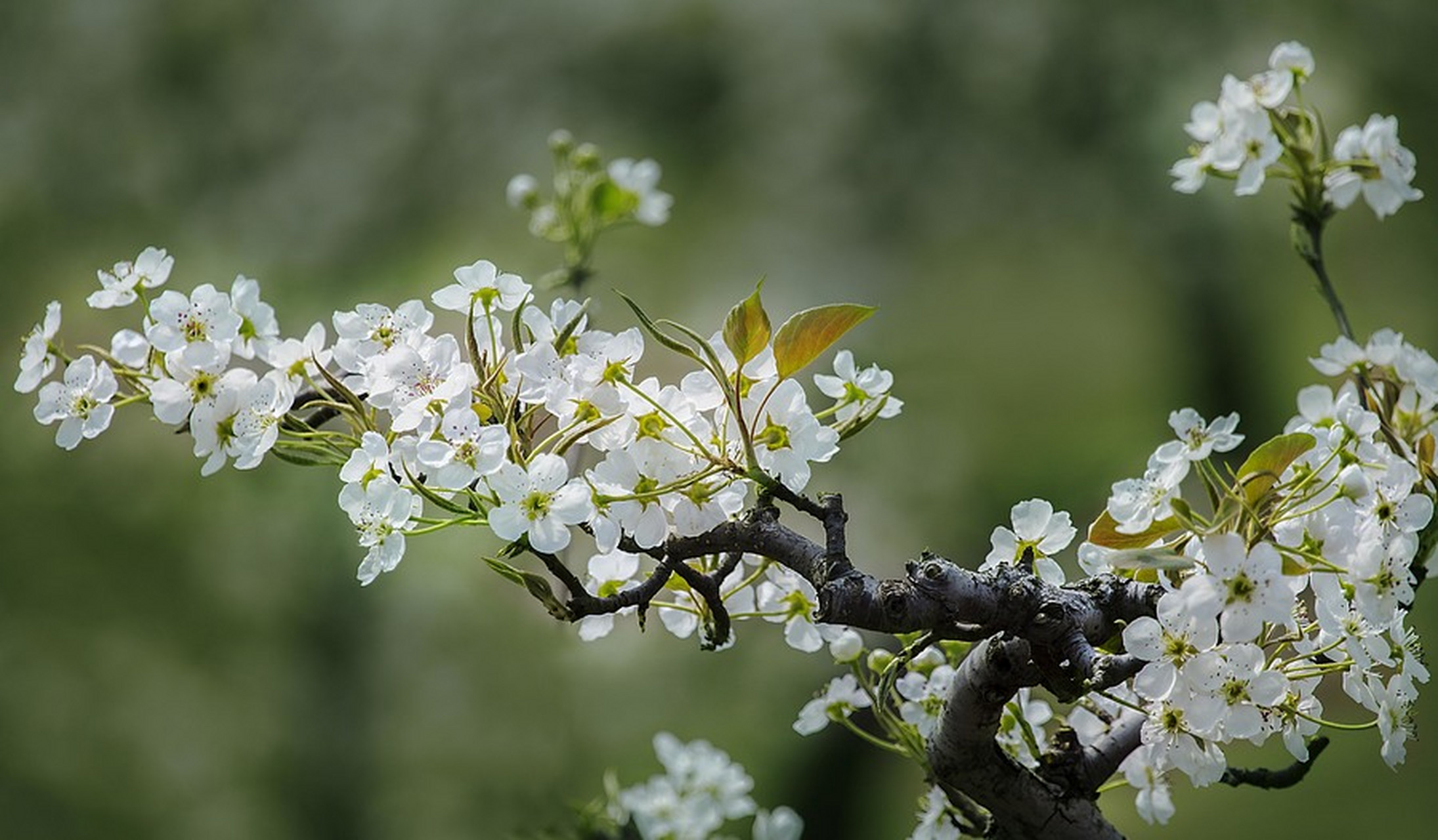 谈恋爱情绪经常波动特别大,怎么办?